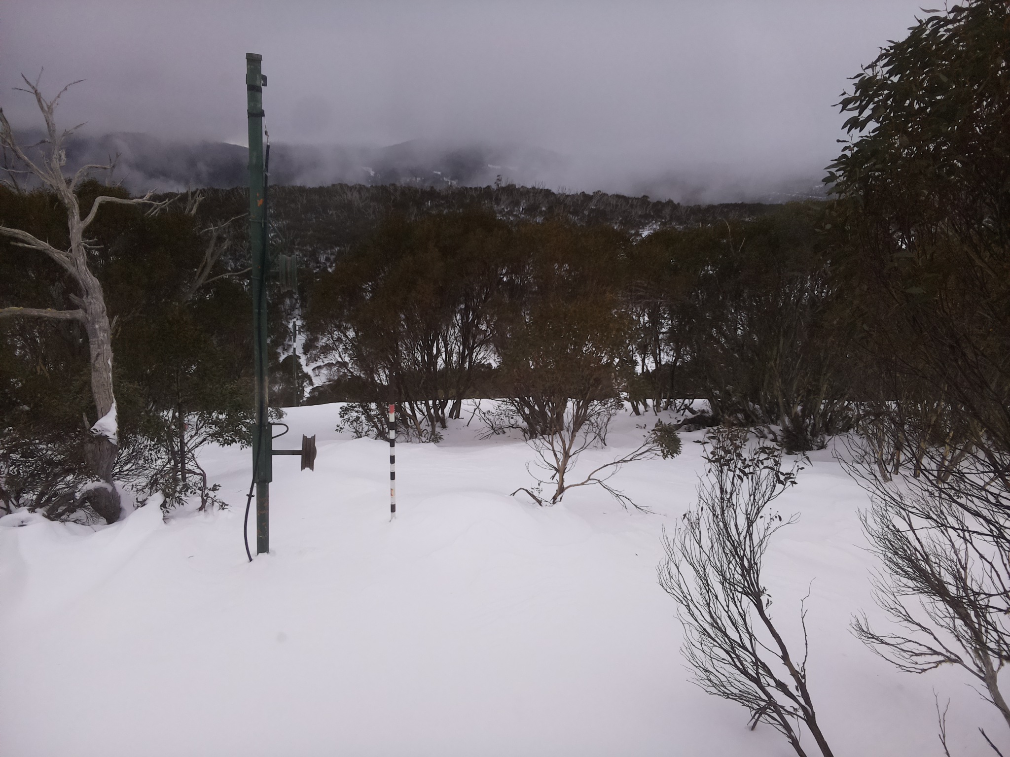 Bogong Web Cam 9:00am Monday 30th of June 2025