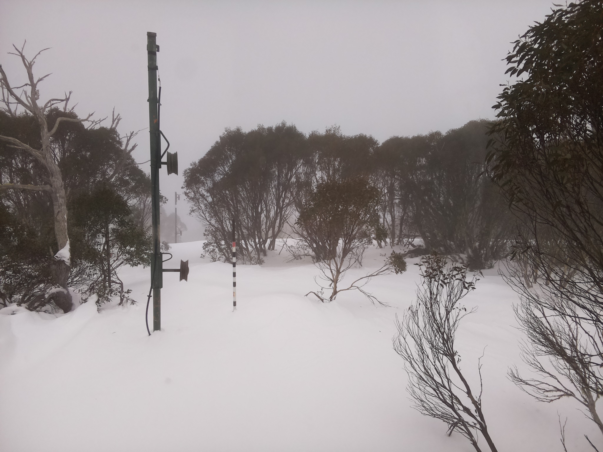 Bogong Web Cam 9:30am Monday 30th of June 2025