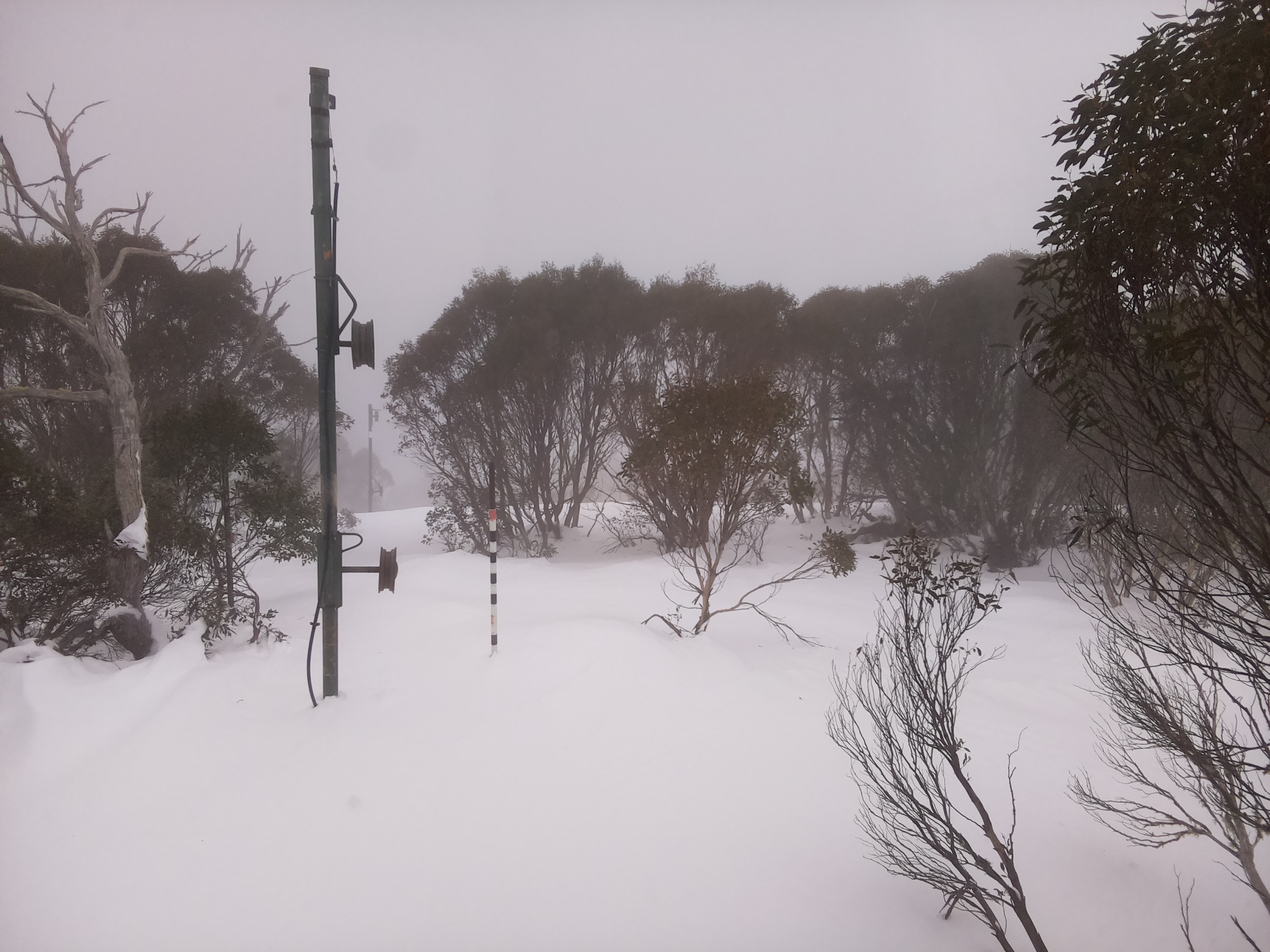 Bogong Web Cam 9:50am Monday 30th of June 2025