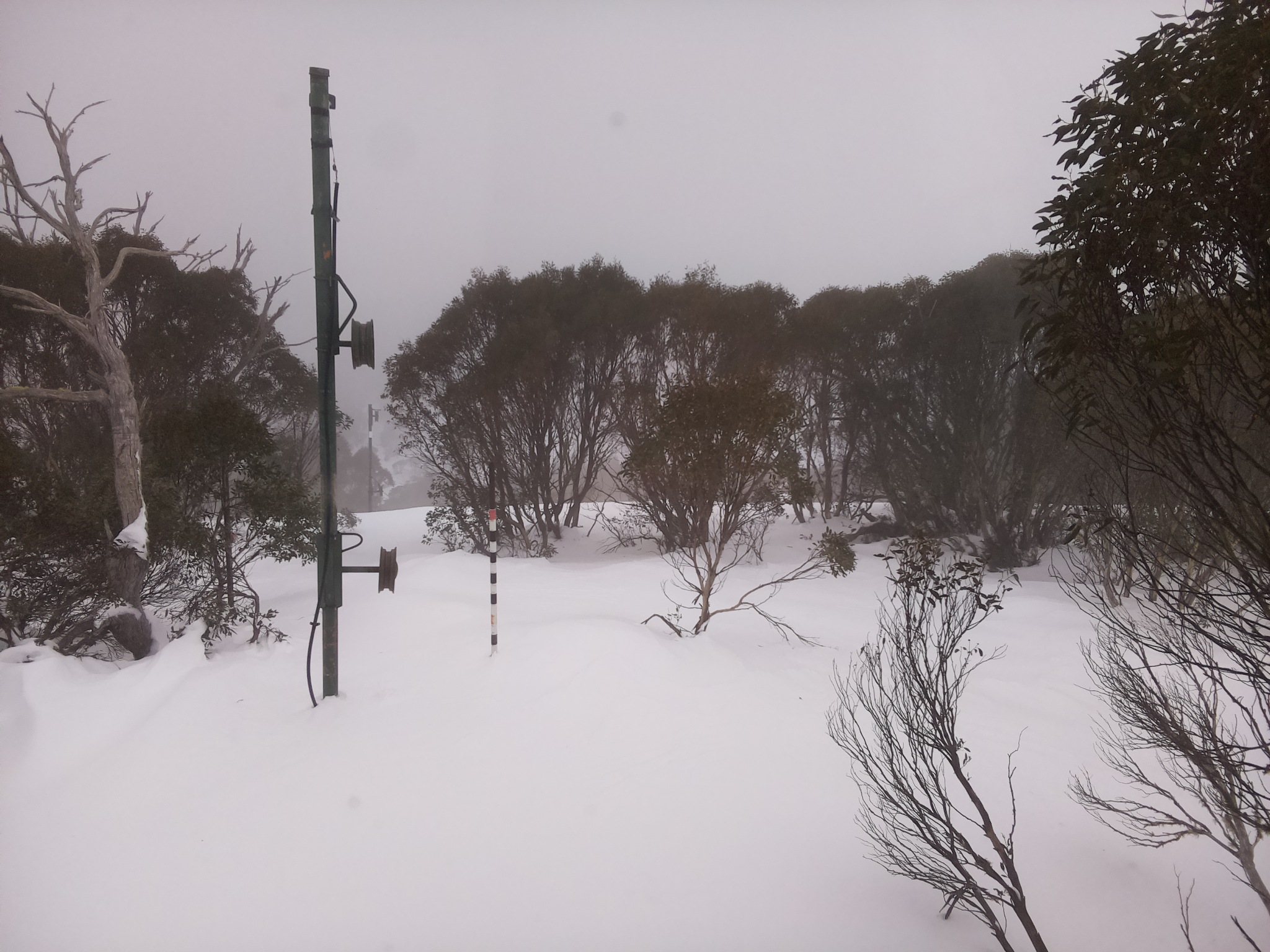 Bogong Web Cam 10:00am Monday 30th of June 2025