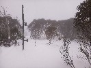 Thumbnail 10:10am Monday 30th of June 2025