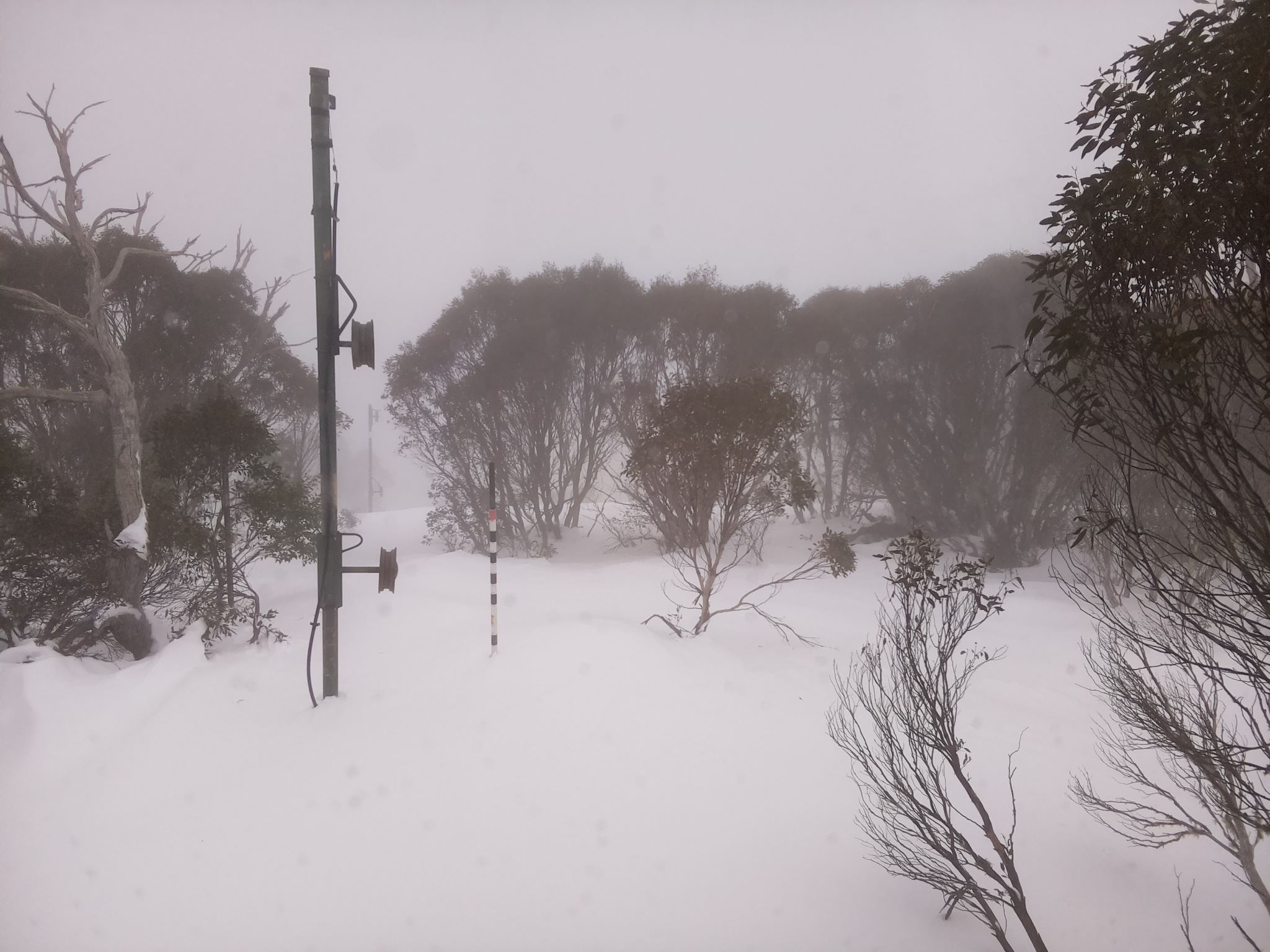 Bogong Web Cam 10:20am Monday 30th of June 2025