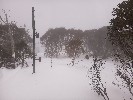 Thumbnail 10:20am Monday 30th of June 2025