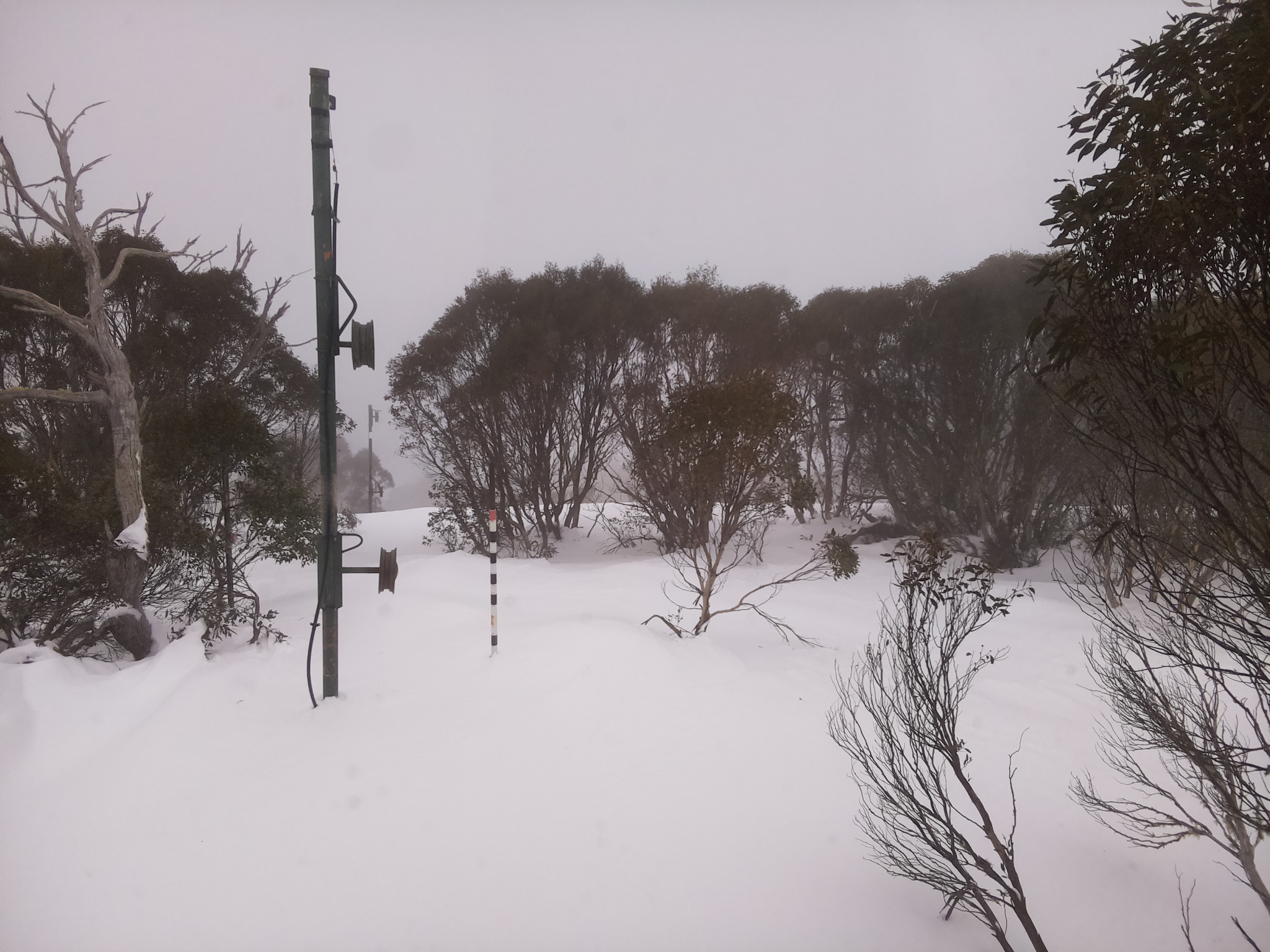 Bogong Web Cam 10:30am Monday 30th of June 2025