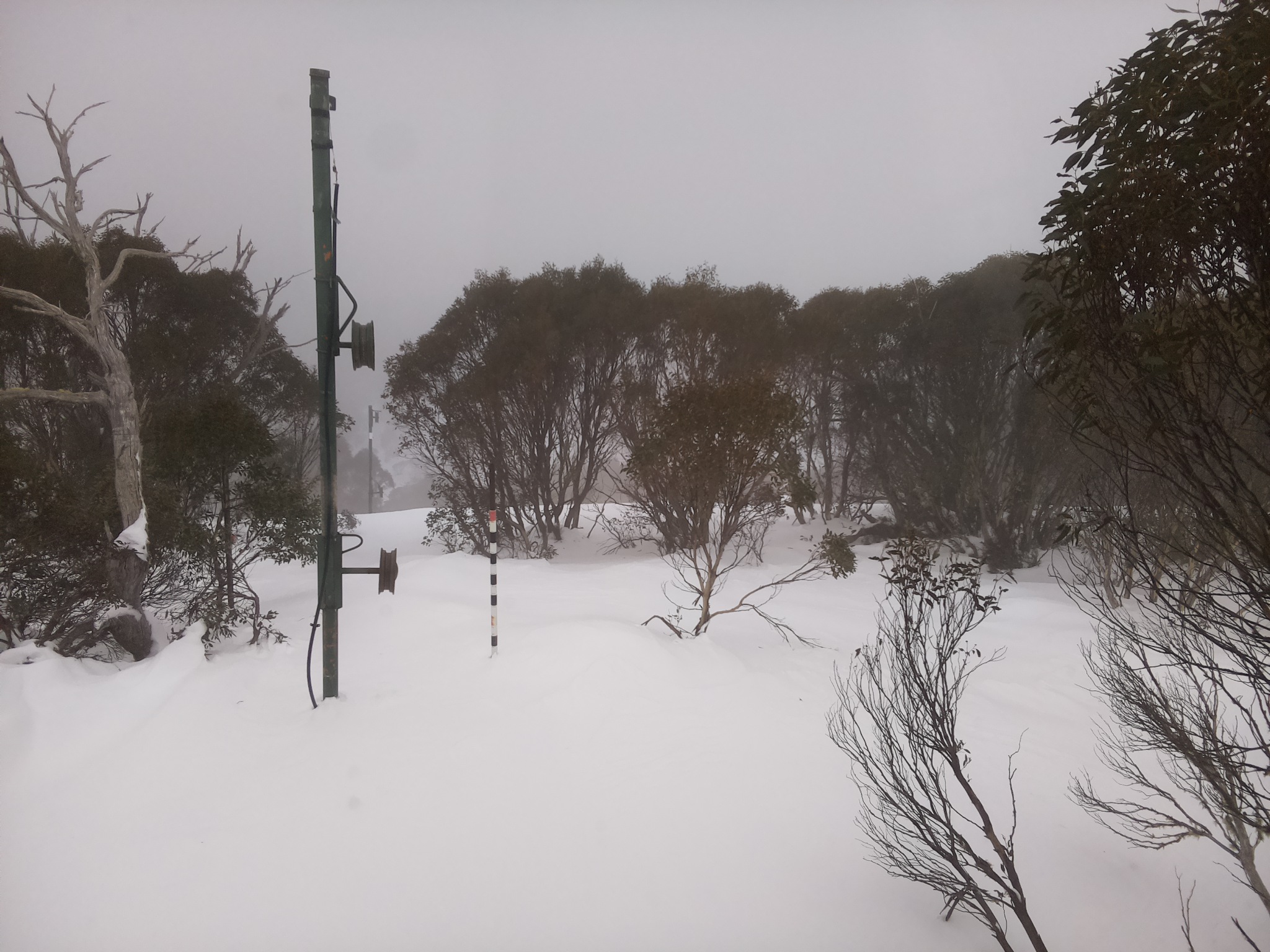 Bogong Web Cam 10:40am Monday 30th of June 2025