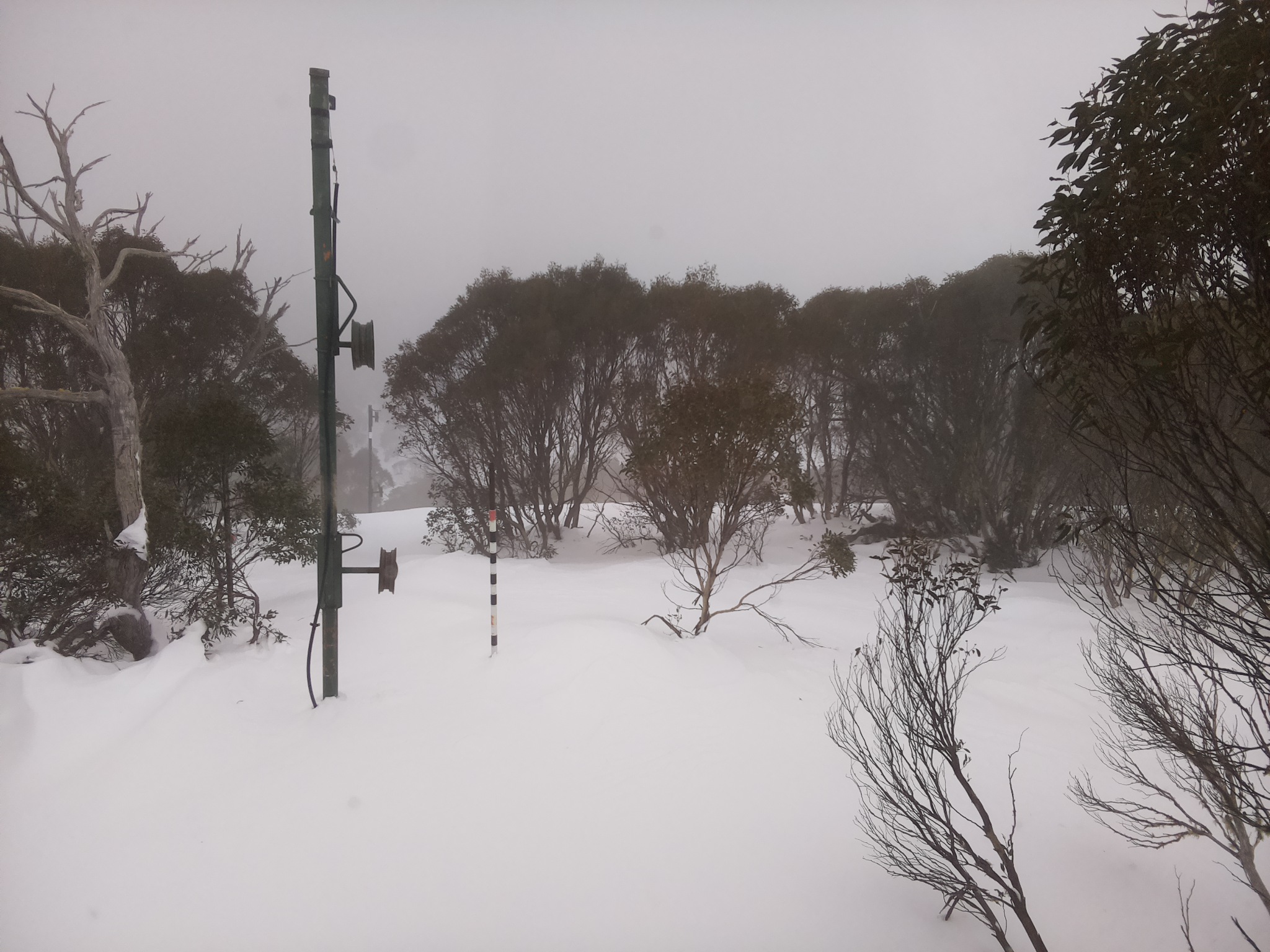 Bogong Web Cam 10:50am Monday 30th of June 2025