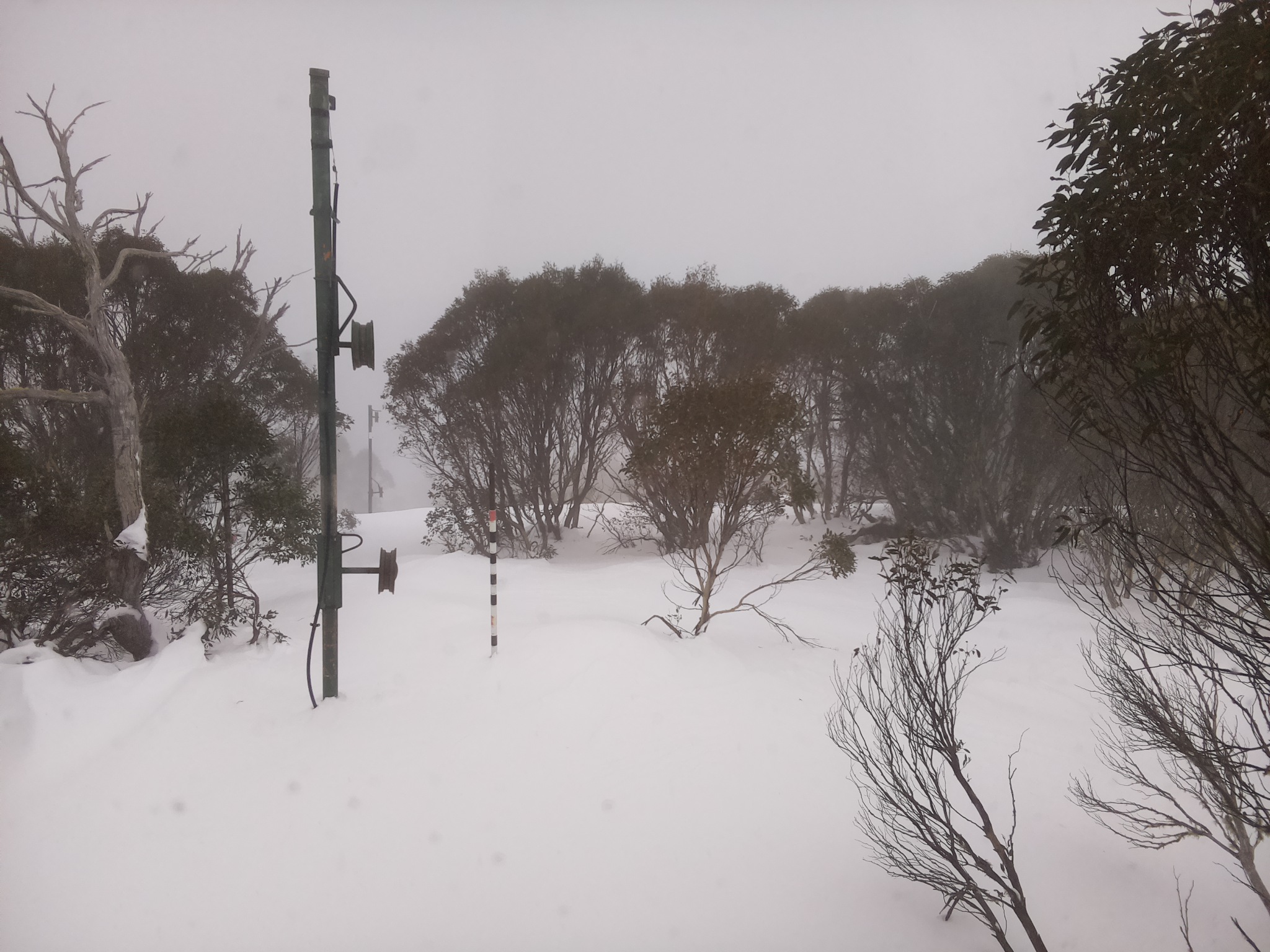 Bogong Web Cam 11:30am Monday 30th of June 2025