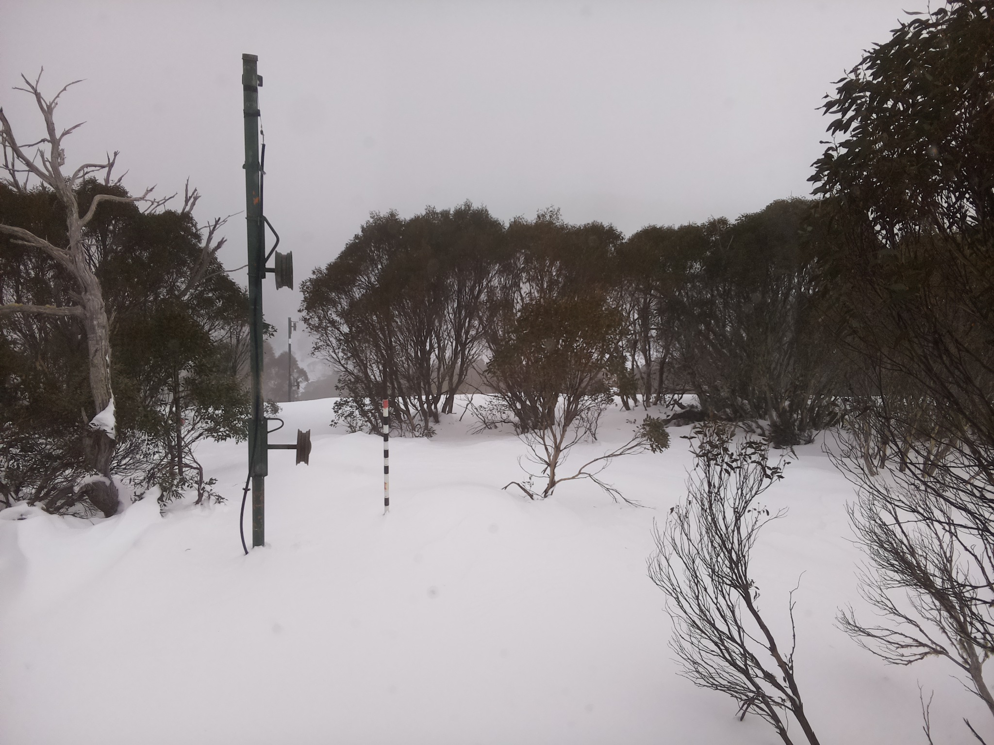 Bogong Web Cam 12:20pm Monday 30th of June 2025