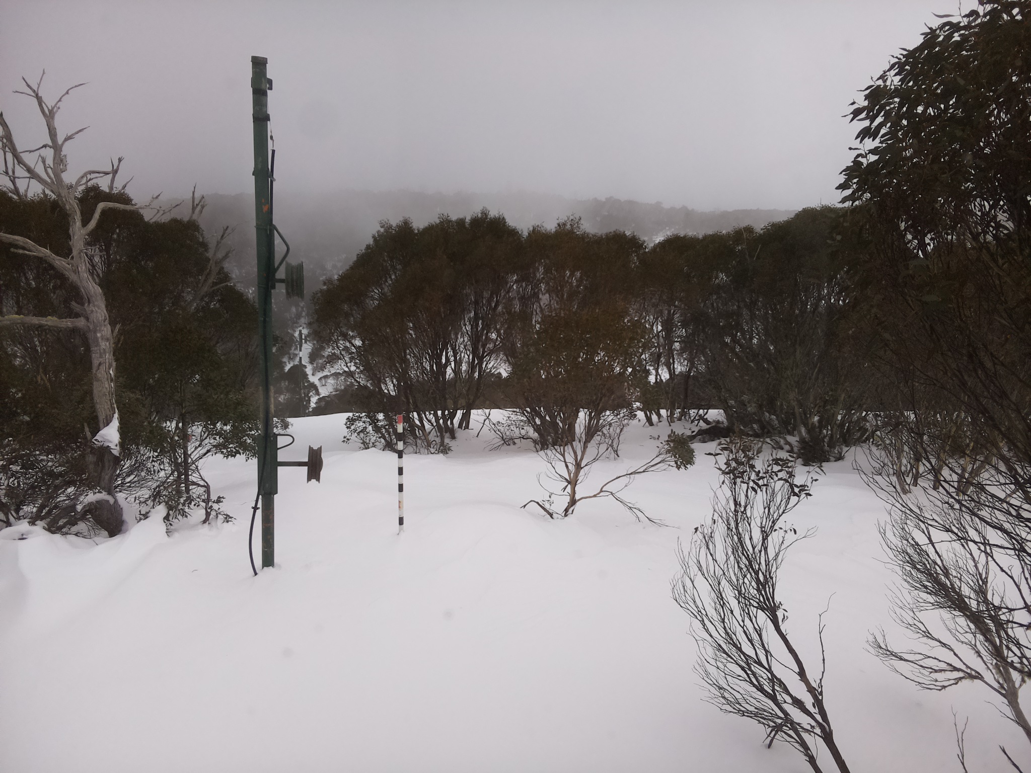 Bogong Web Cam 12:30pm Monday 30th of June 2025
