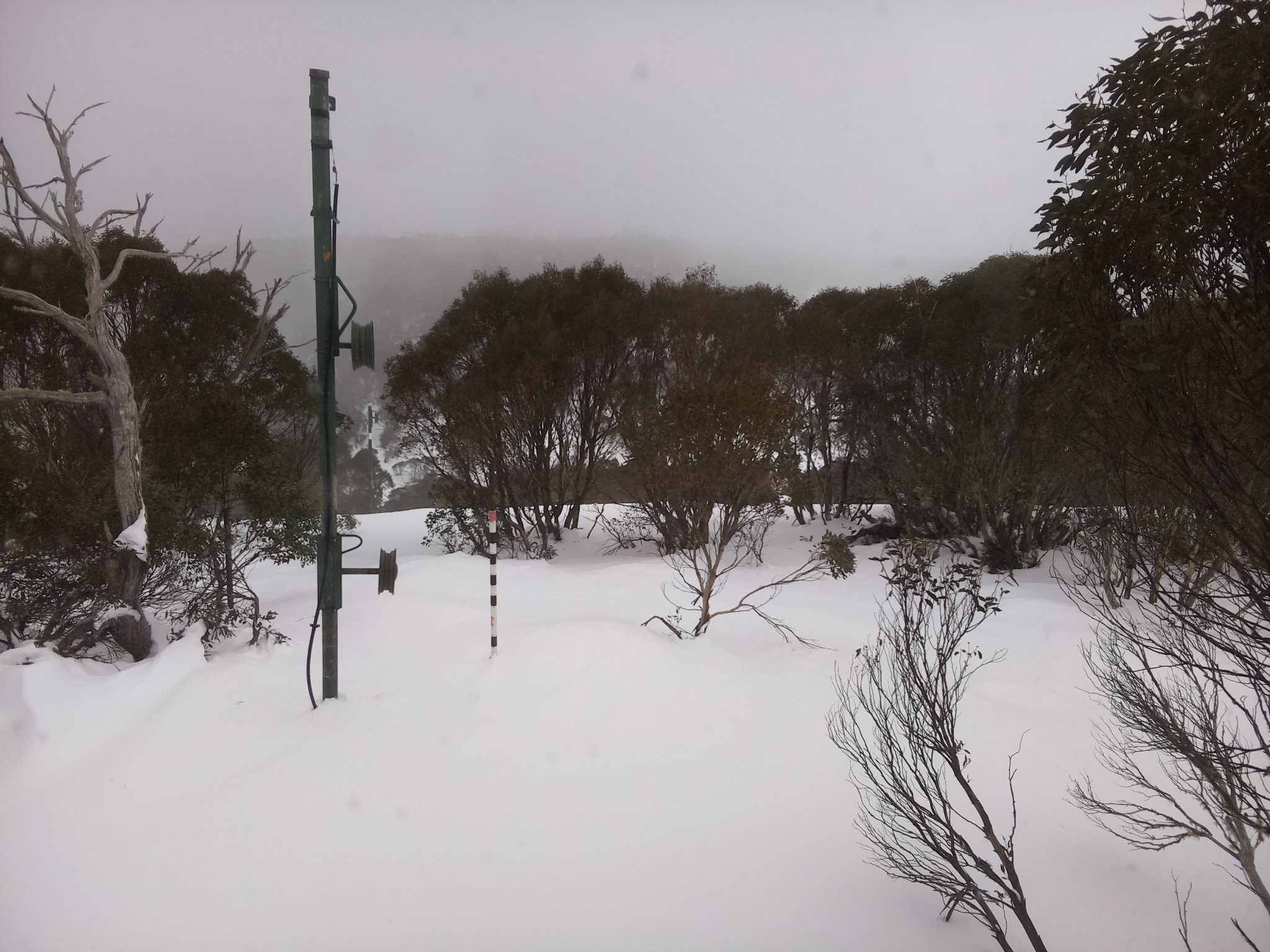 Bogong Web Cam 12:40pm Monday 30th of June 2025