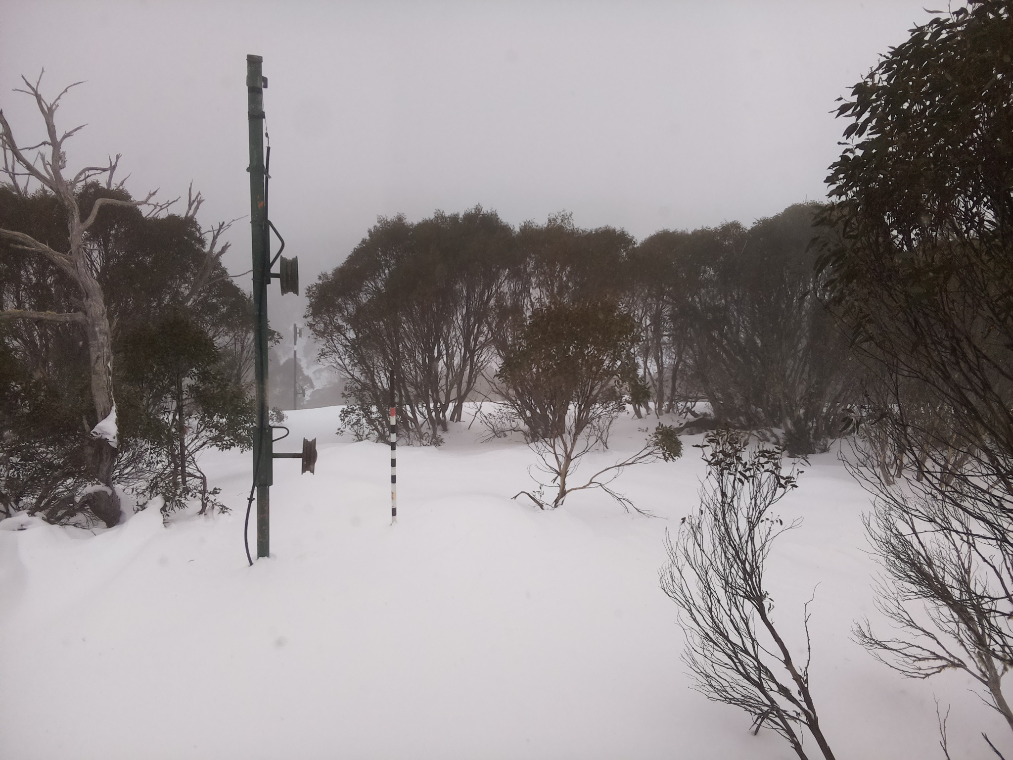 Bogong Web Cam 12:50pm Monday 30th of June 2025