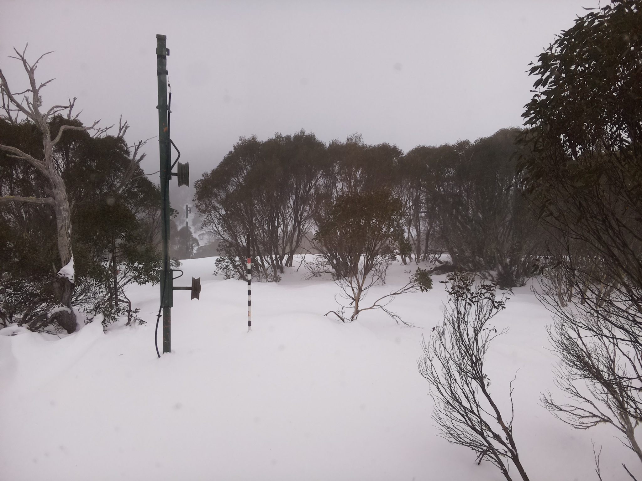 Bogong Web Cam 1:00pm Monday 30th of June 2025