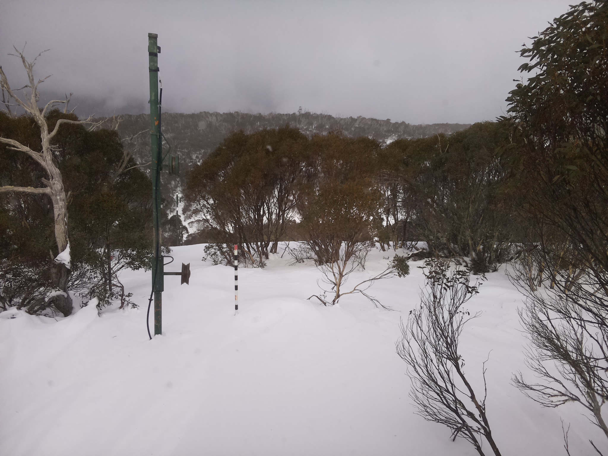 Bogong Web Cam 1:10pm Monday 30th of June 2025