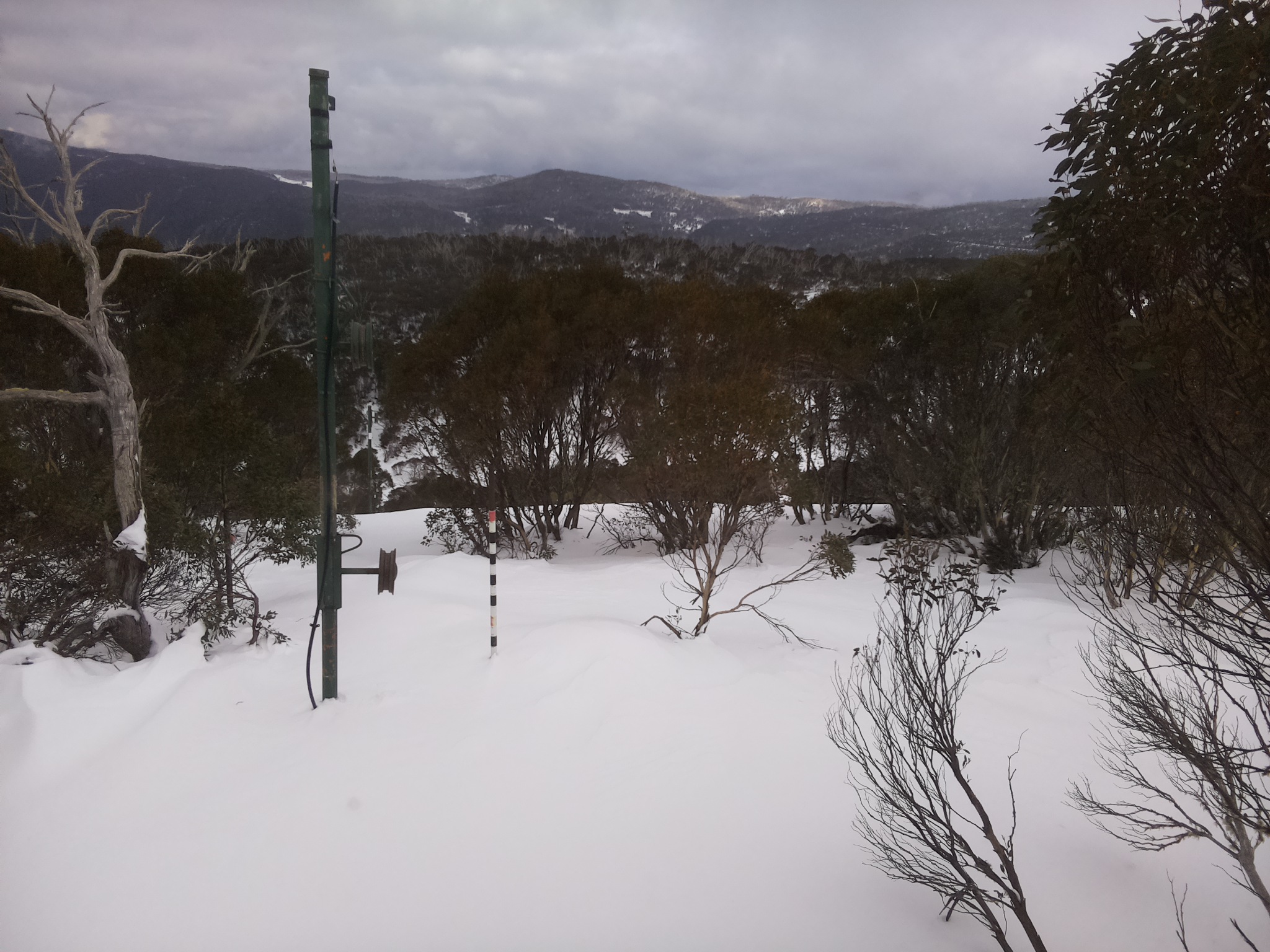 Bogong Web Cam 1:50pm Monday 30th of June 2025