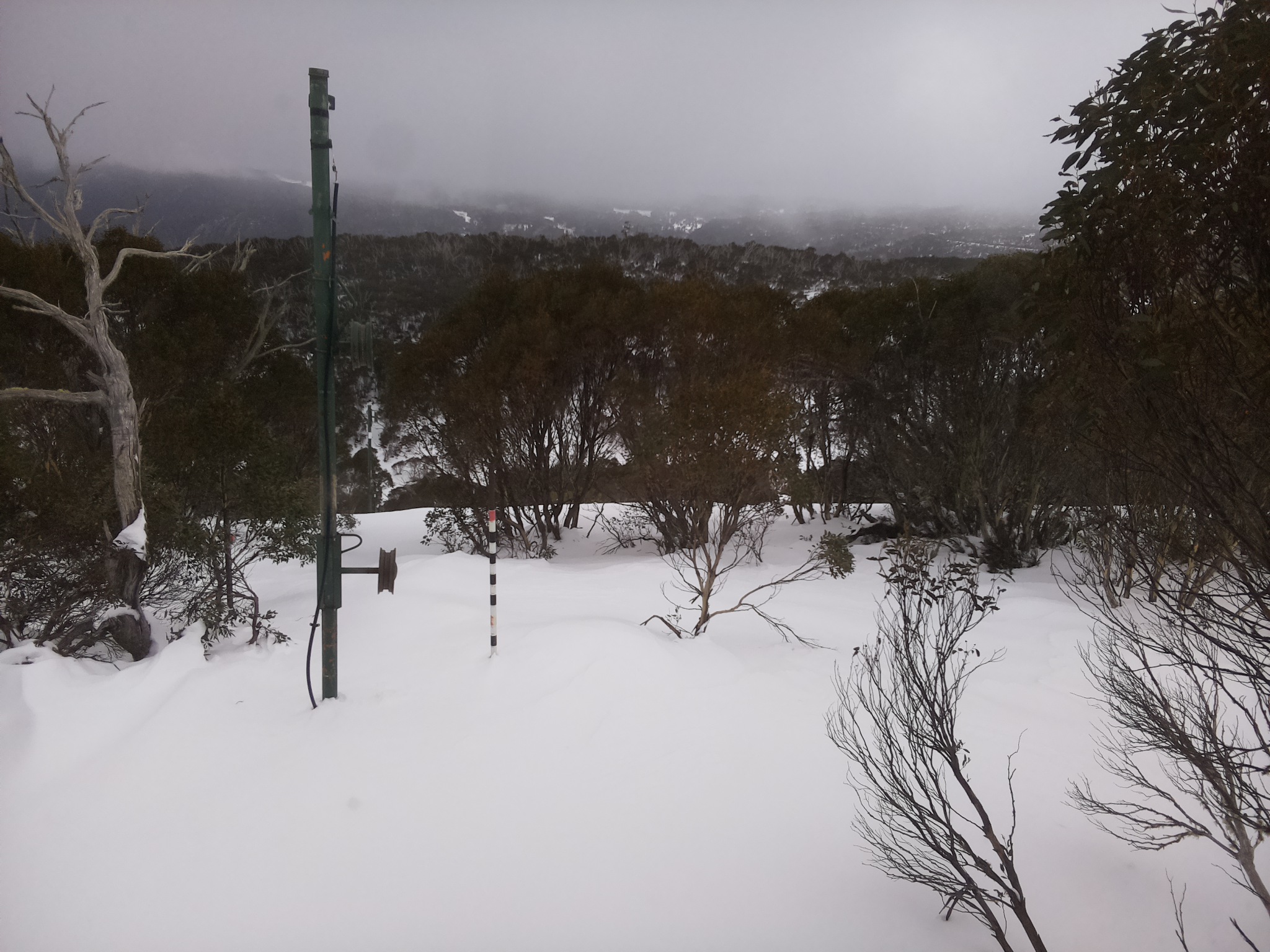 Bogong Web Cam 2:20pm Monday 30th of June 2025
