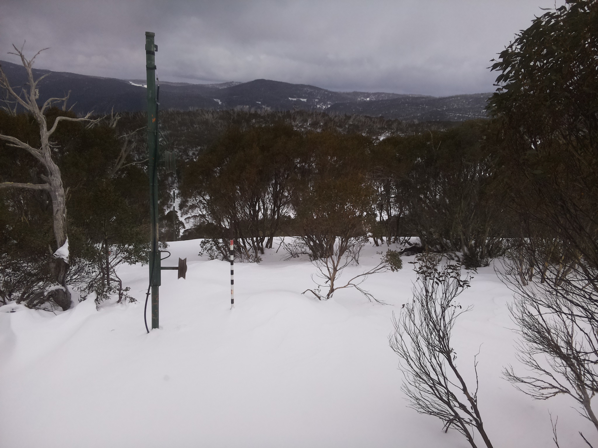 Bogong Web Cam 3:00pm Monday 30th of June 2025