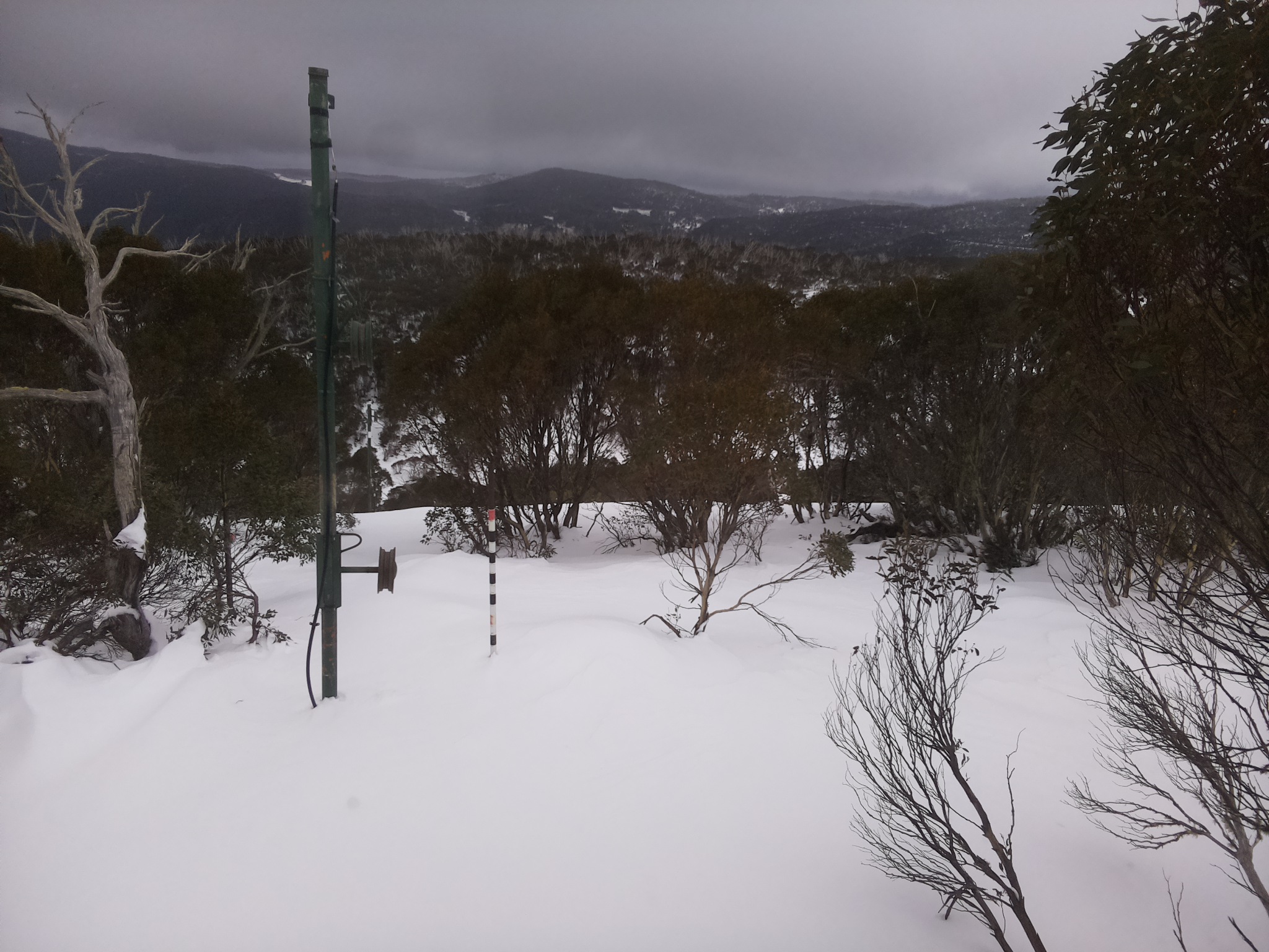 Bogong Web Cam 3:20pm Monday 30th of June 2025