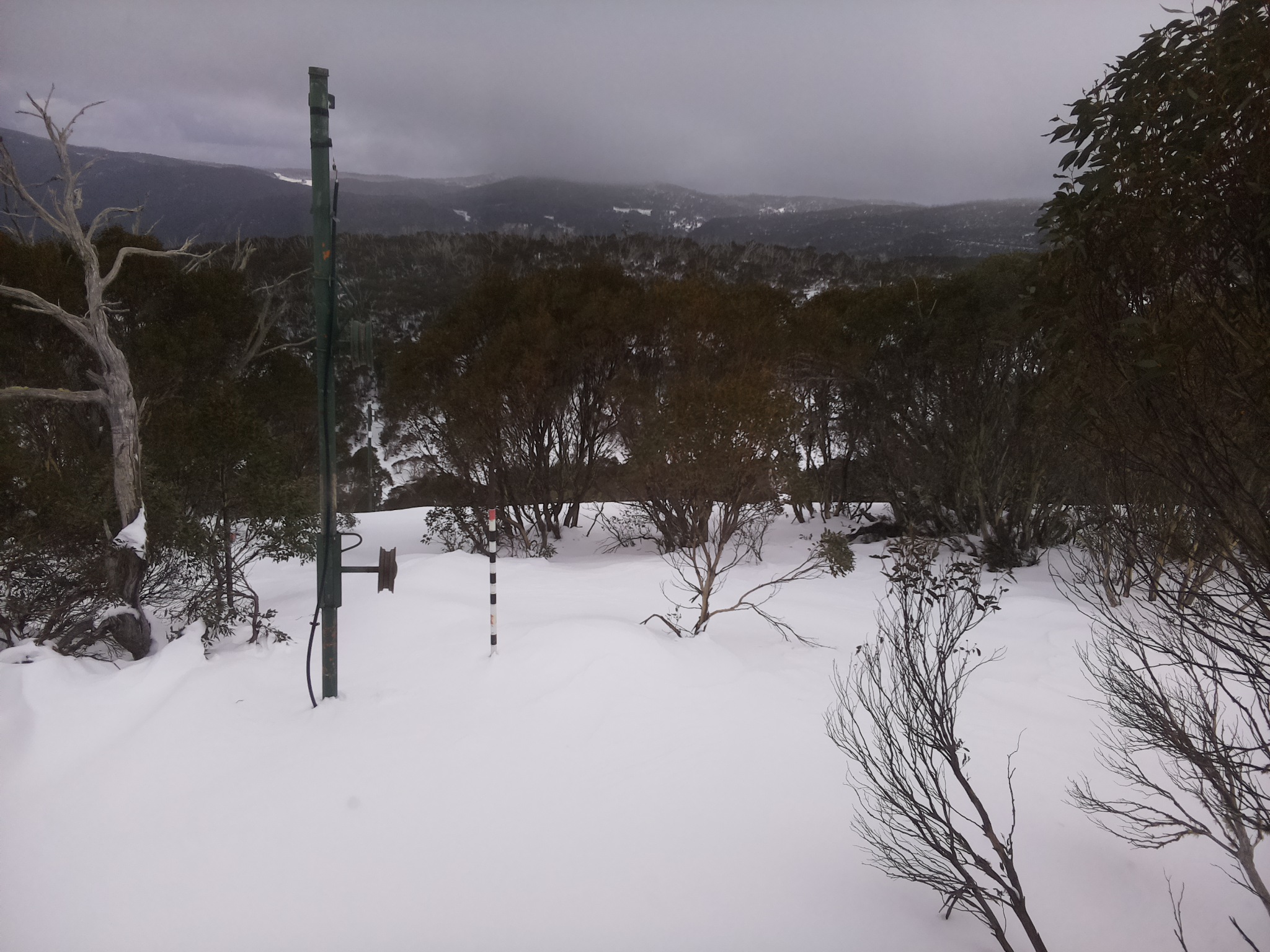 Bogong Web Cam 3:30pm Monday 30th of June 2025