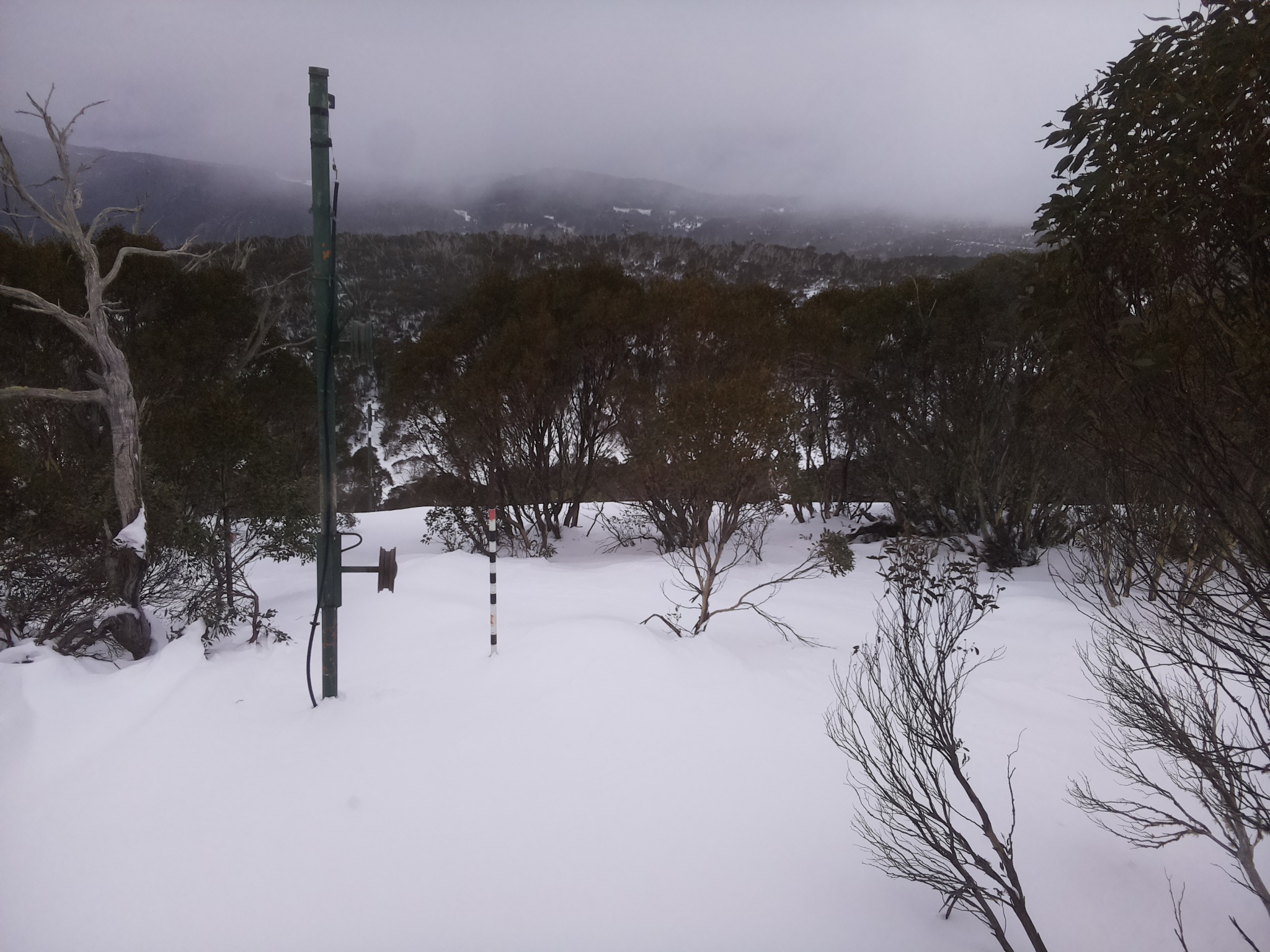 Bogong Web Cam 3:50pm Monday 30th of June 2025