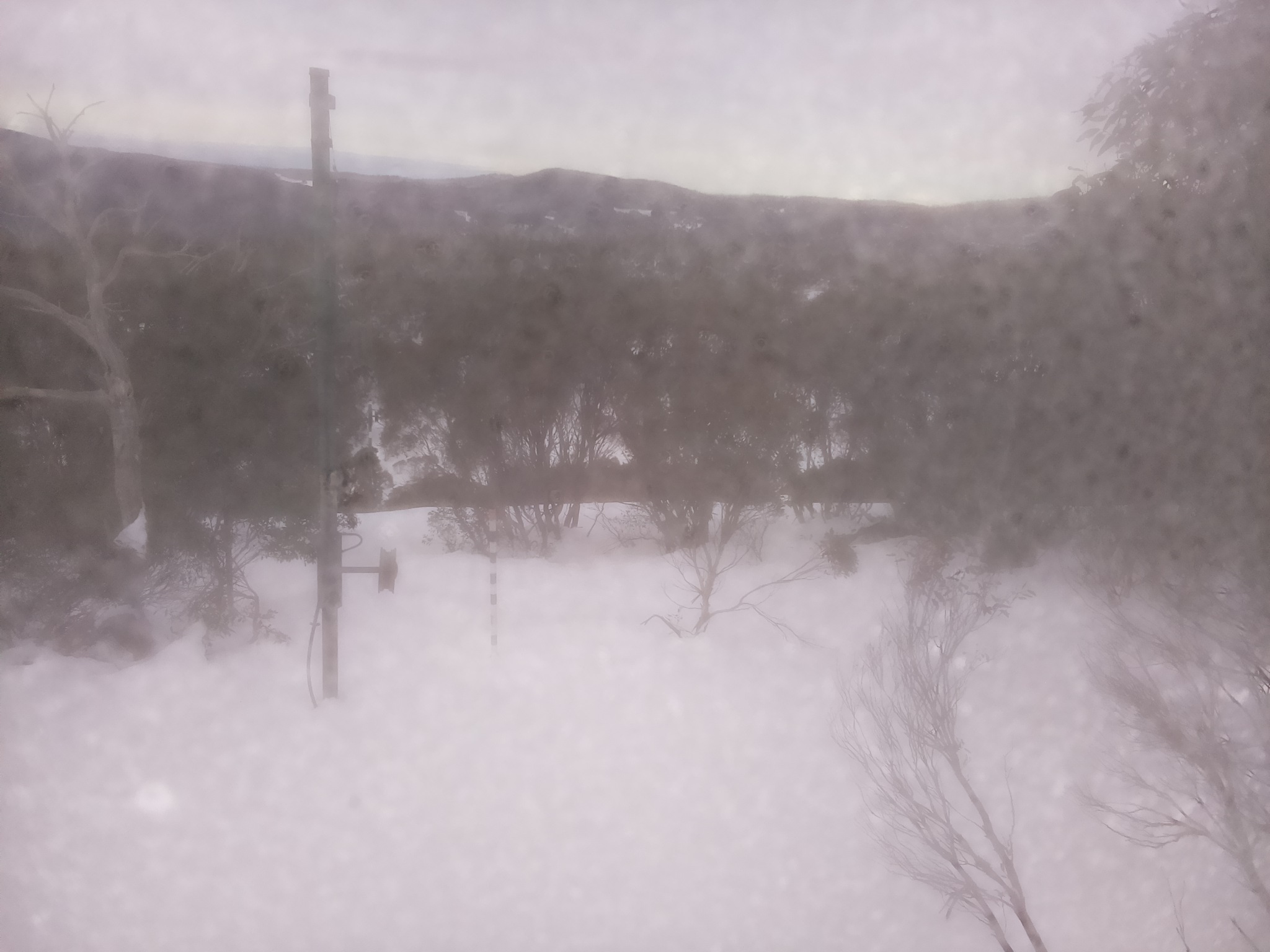 Bogong Web Cam 10:50am Tuesday 1st of July 2025