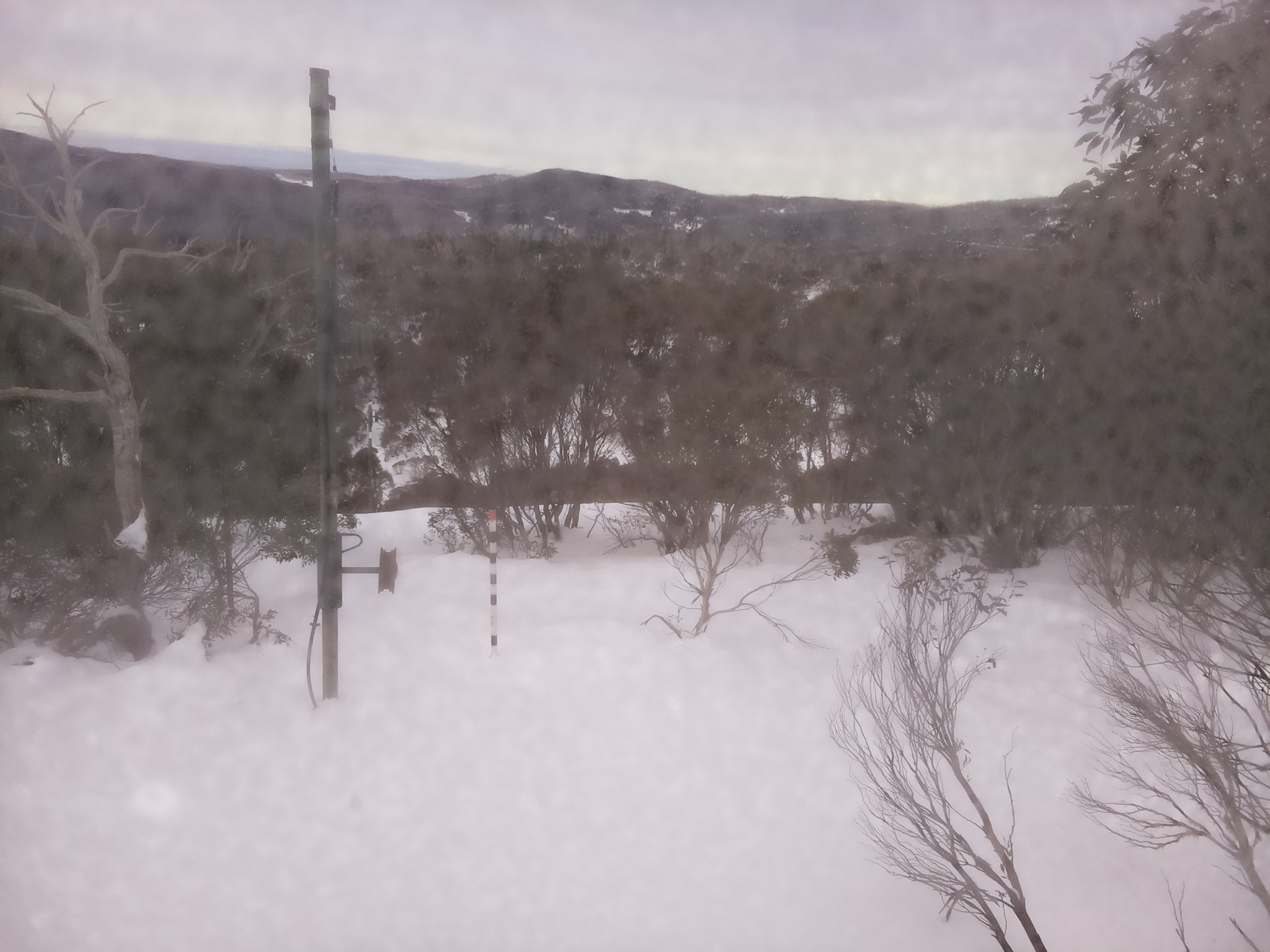 Bogong Web Cam 11:00am Tuesday 1st of July 2025