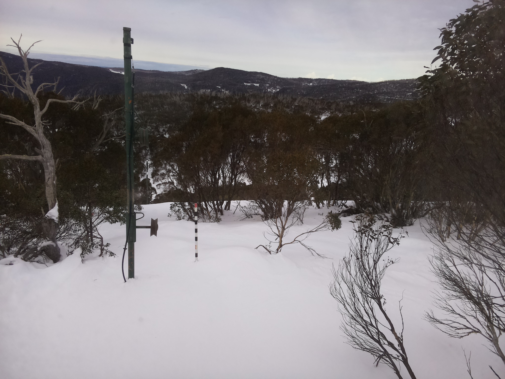 Bogong Web Cam 11:10am Tuesday 1st of July 2025