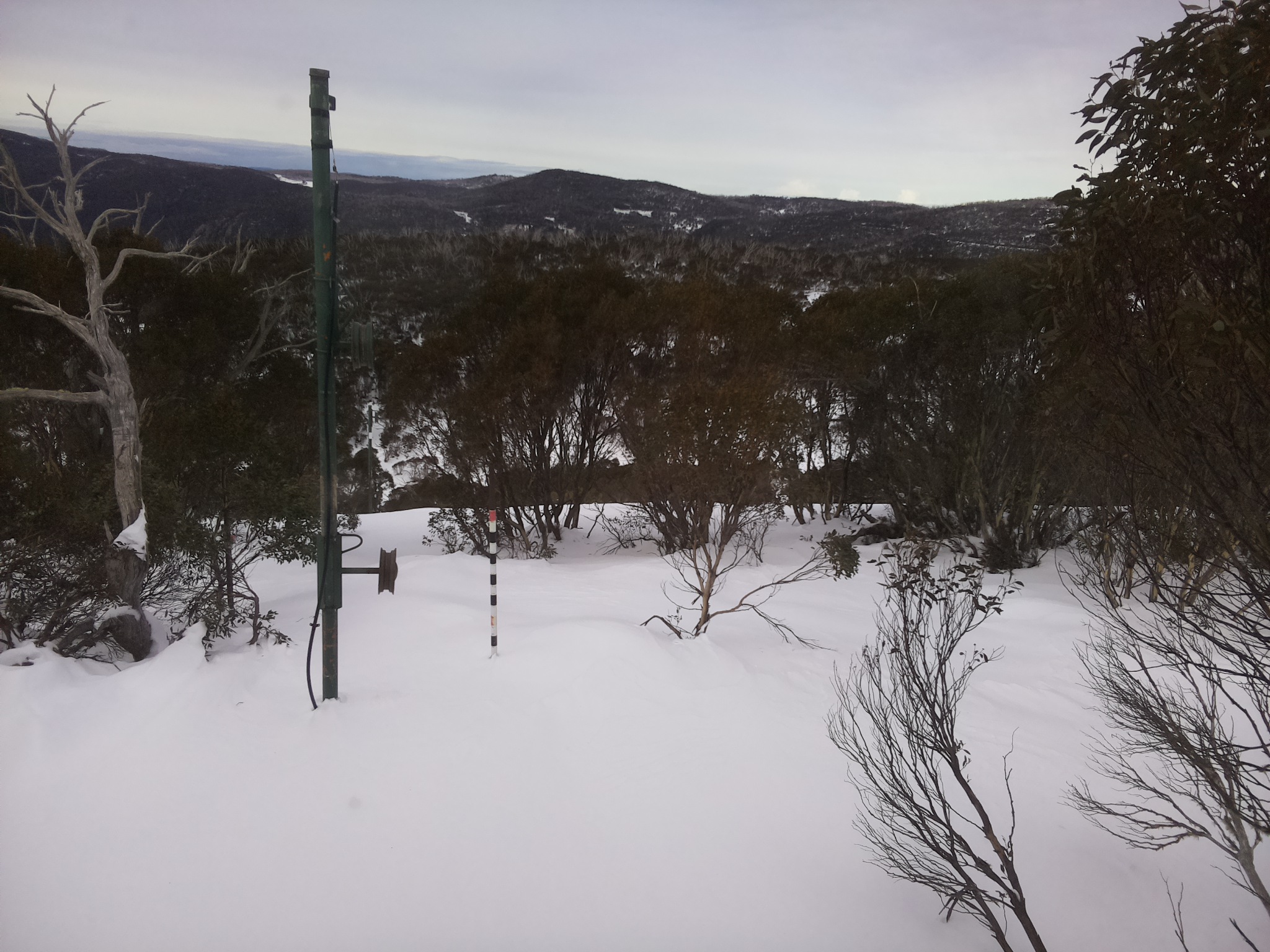Bogong Web Cam 11:20am Tuesday 1st of July 2025