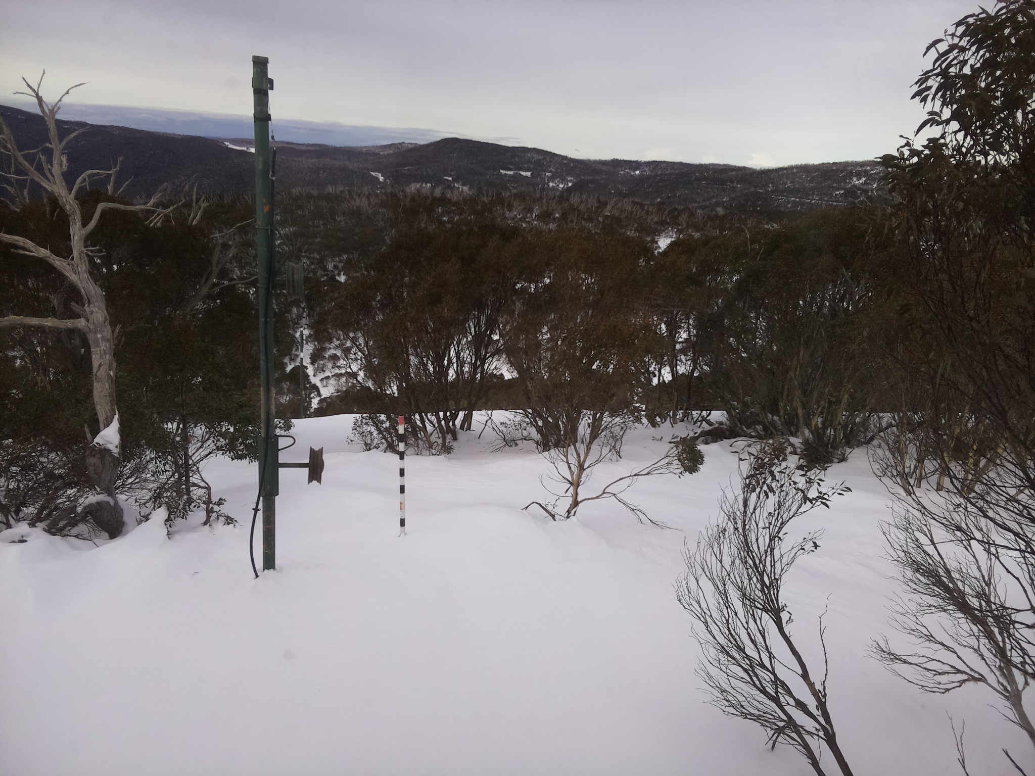 Bogong Web Cam 11:30am Tuesday 1st of July 2025