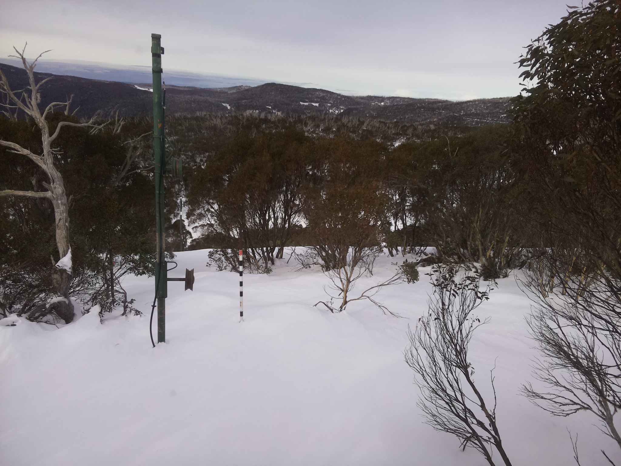 Bogong Web Cam 11:40am Tuesday 1st of July 2025