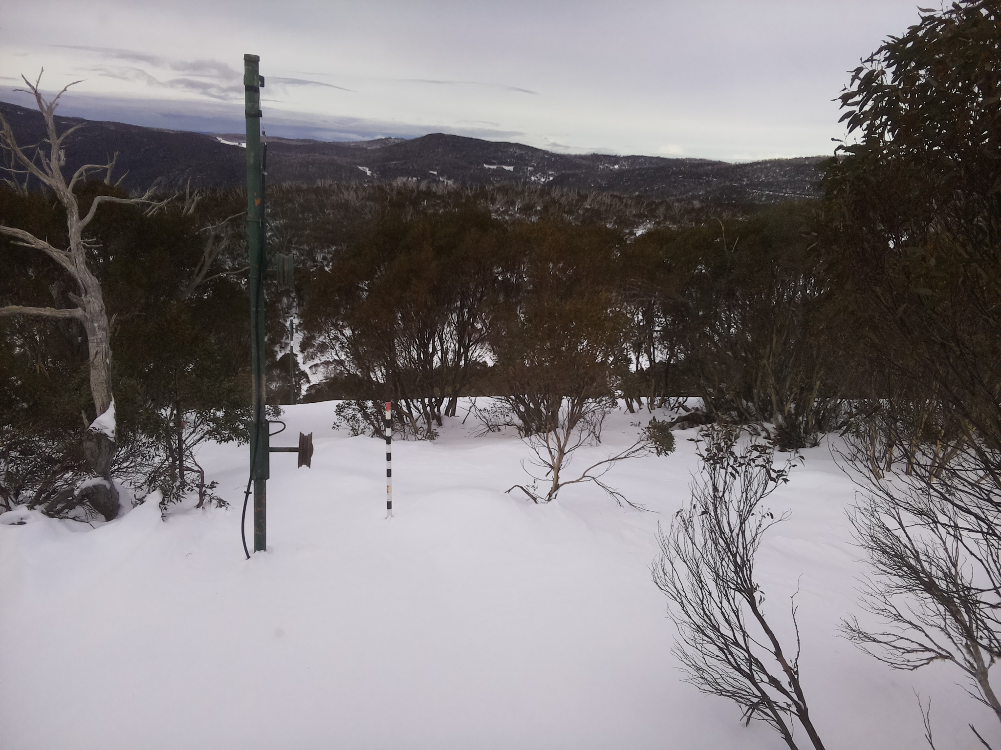 Bogong Web Cam 11:50am Tuesday 1st of July 2025