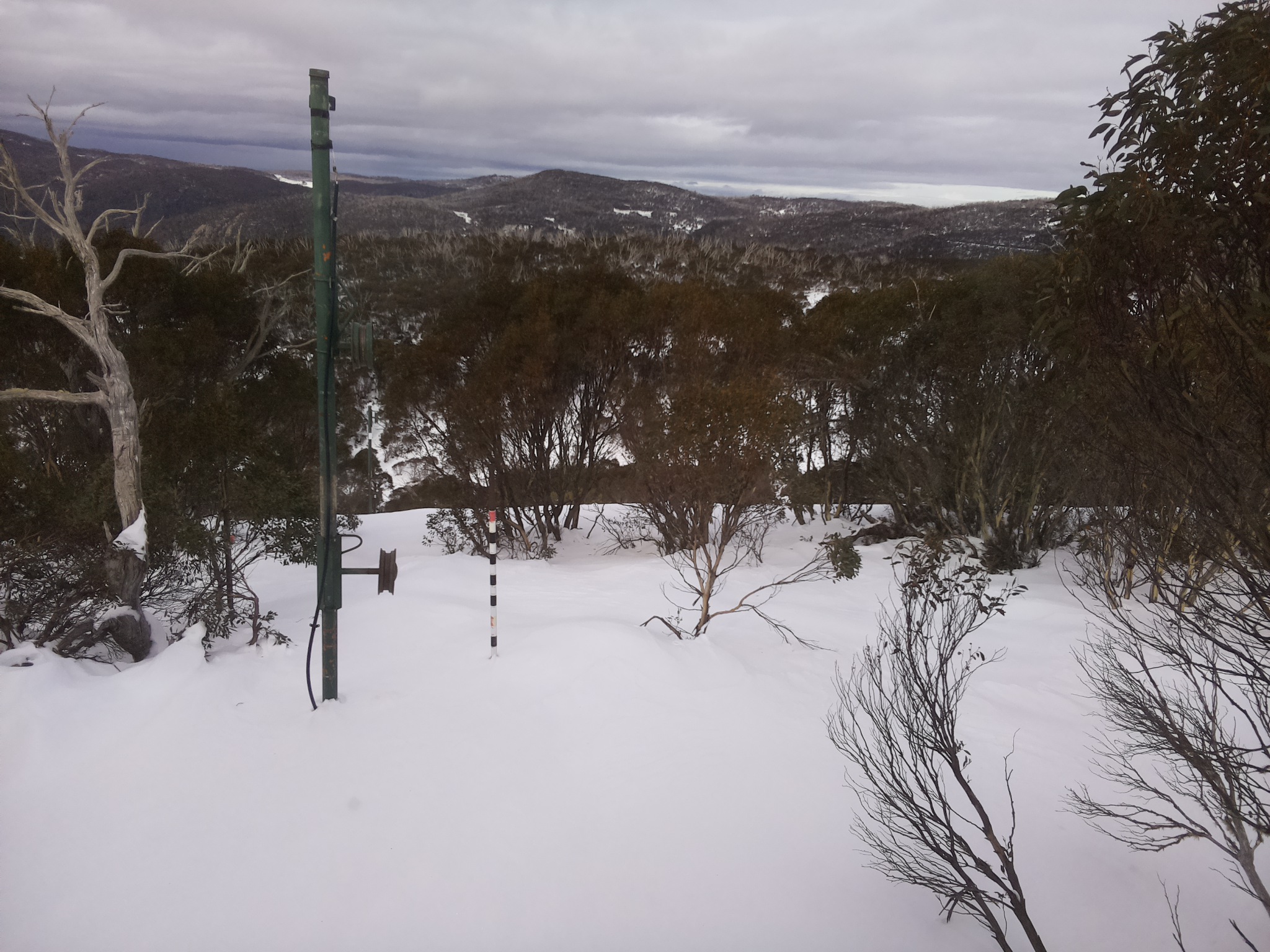 Bogong Web Cam 12:20pm Tuesday 1st of July 2025