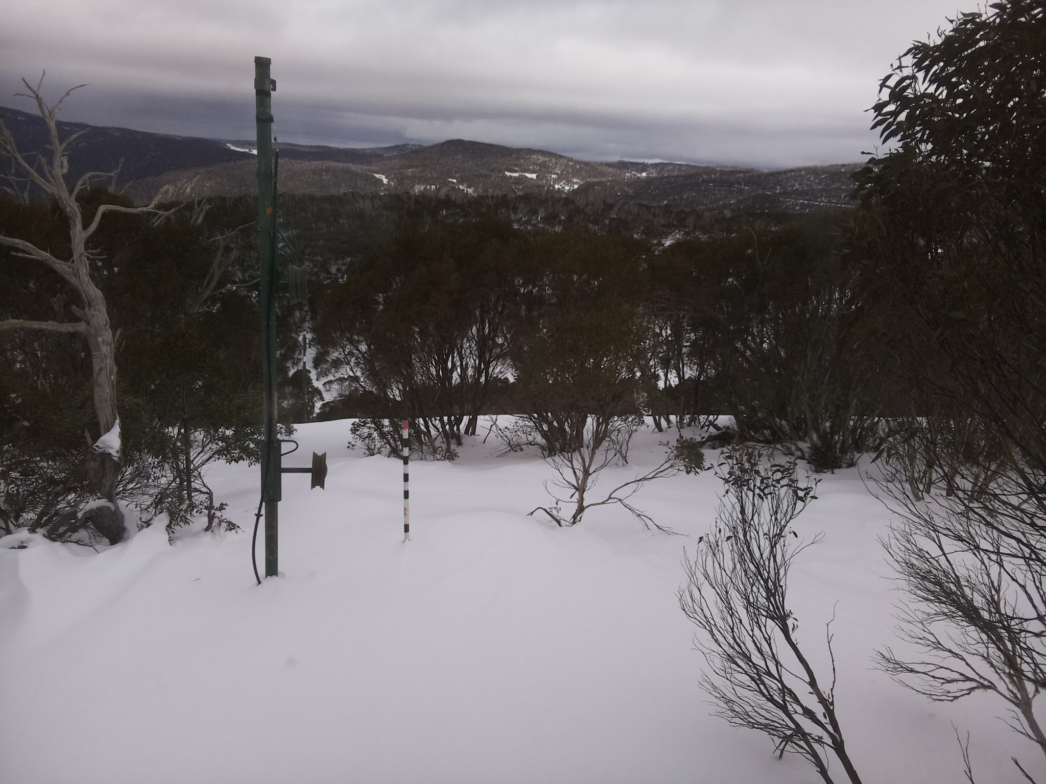 Bogong Web Cam 12:50pm Tuesday 1st of July 2025