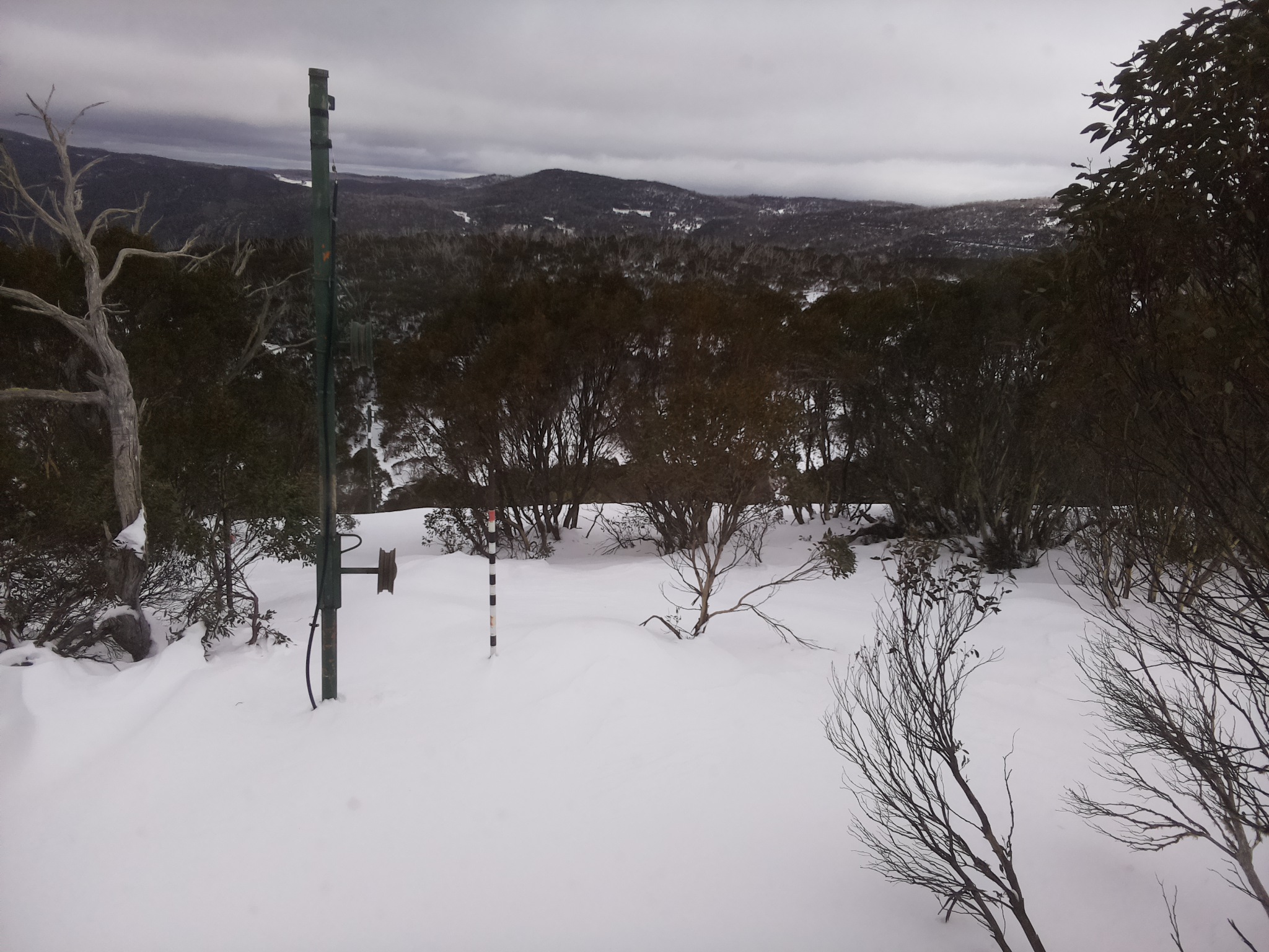Bogong Web Cam 1:00pm Tuesday 1st of July 2025