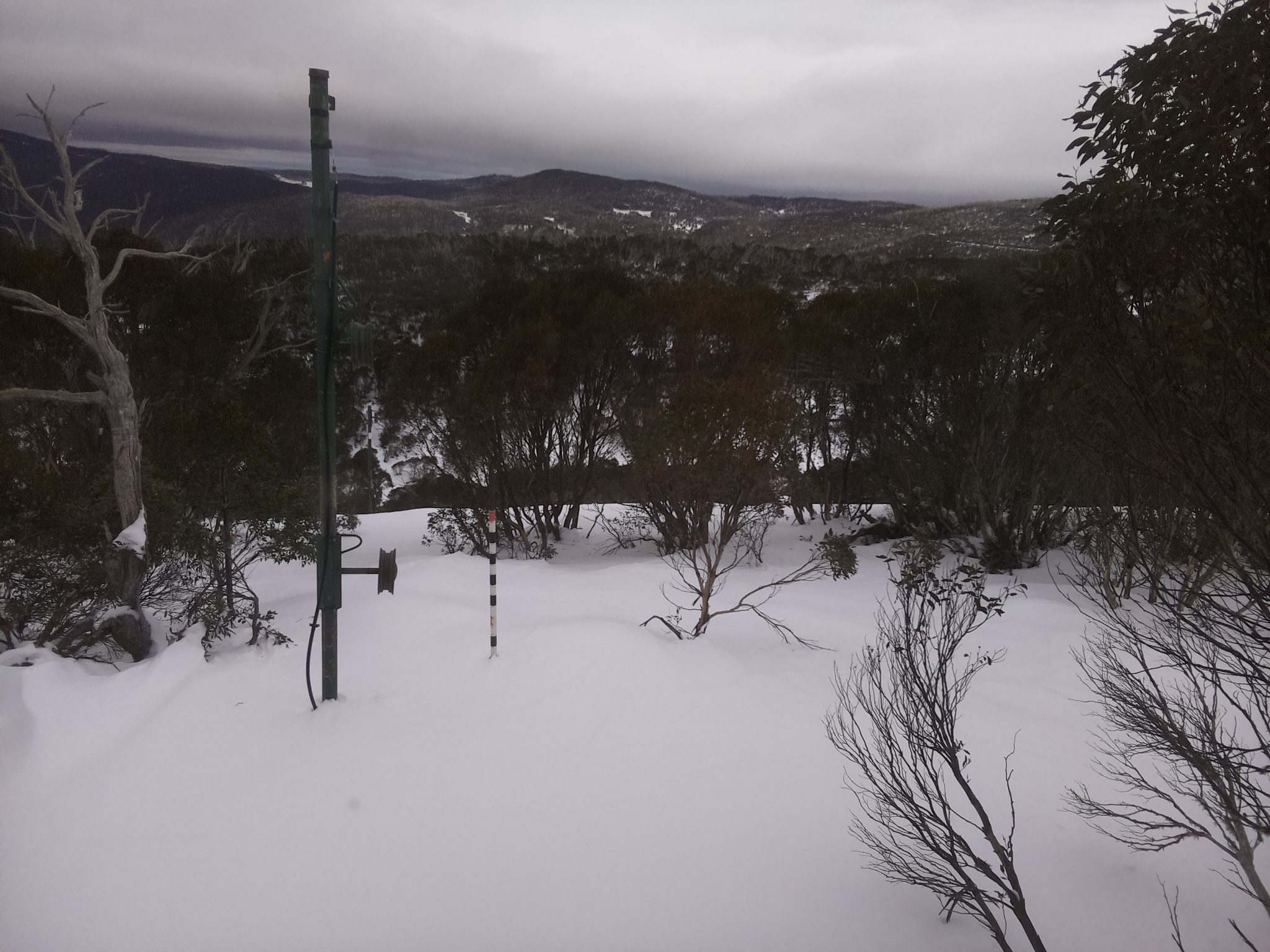 Bogong Web Cam 1:10pm Tuesday 1st of July 2025