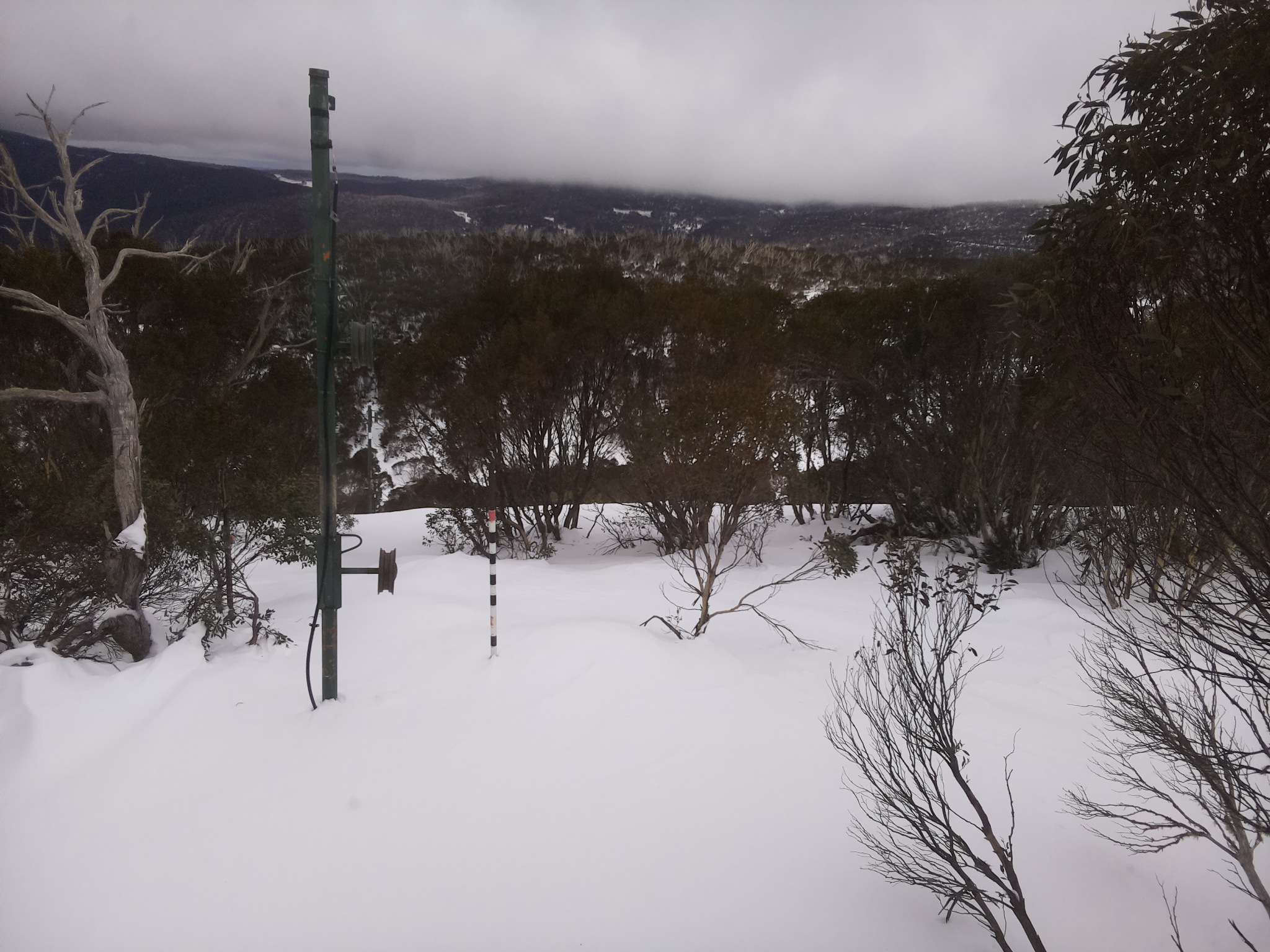 Bogong Web Cam 1:20pm Tuesday 1st of July 2025