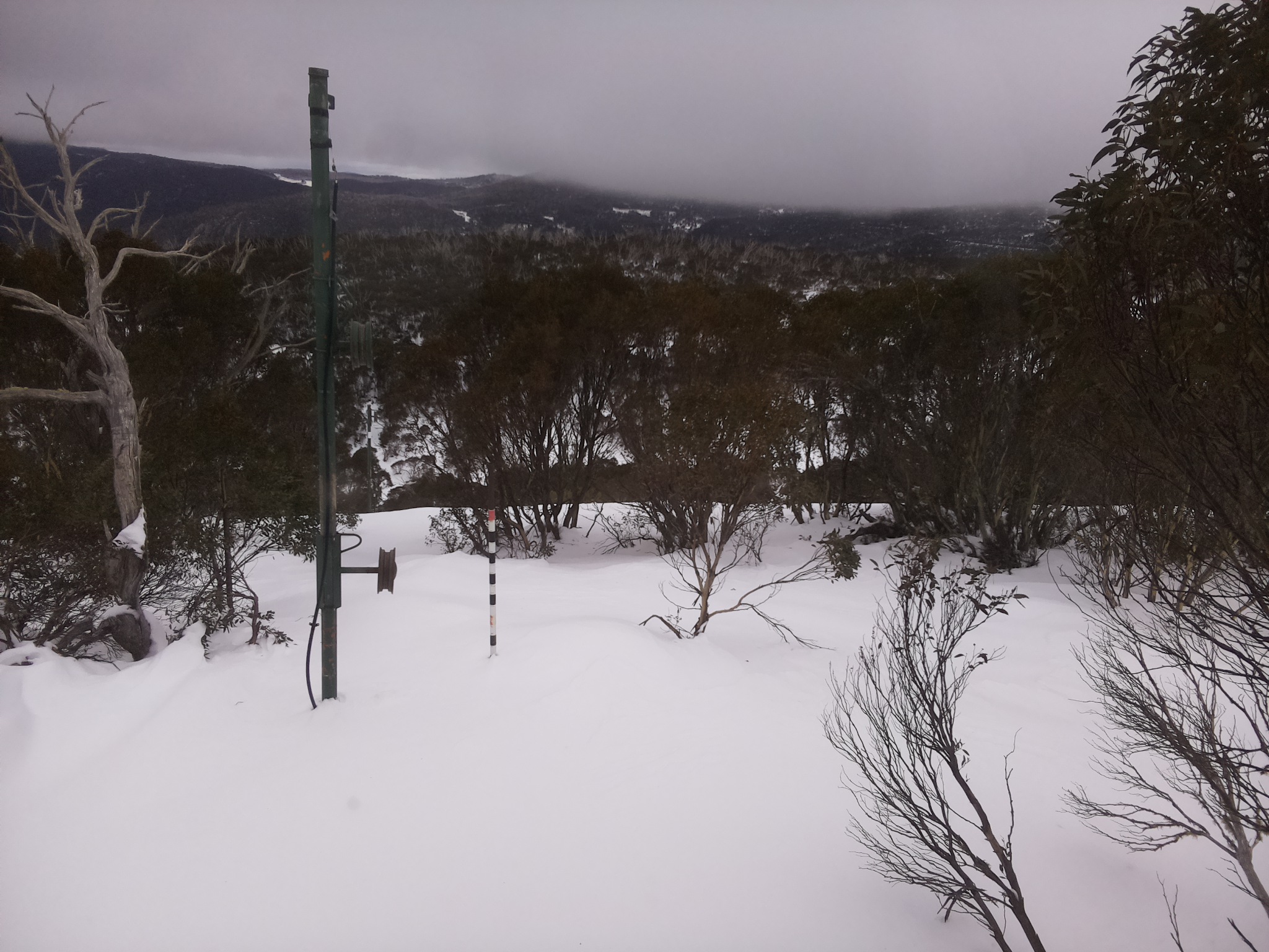 Bogong Web Cam 1:30pm Tuesday 1st of July 2025