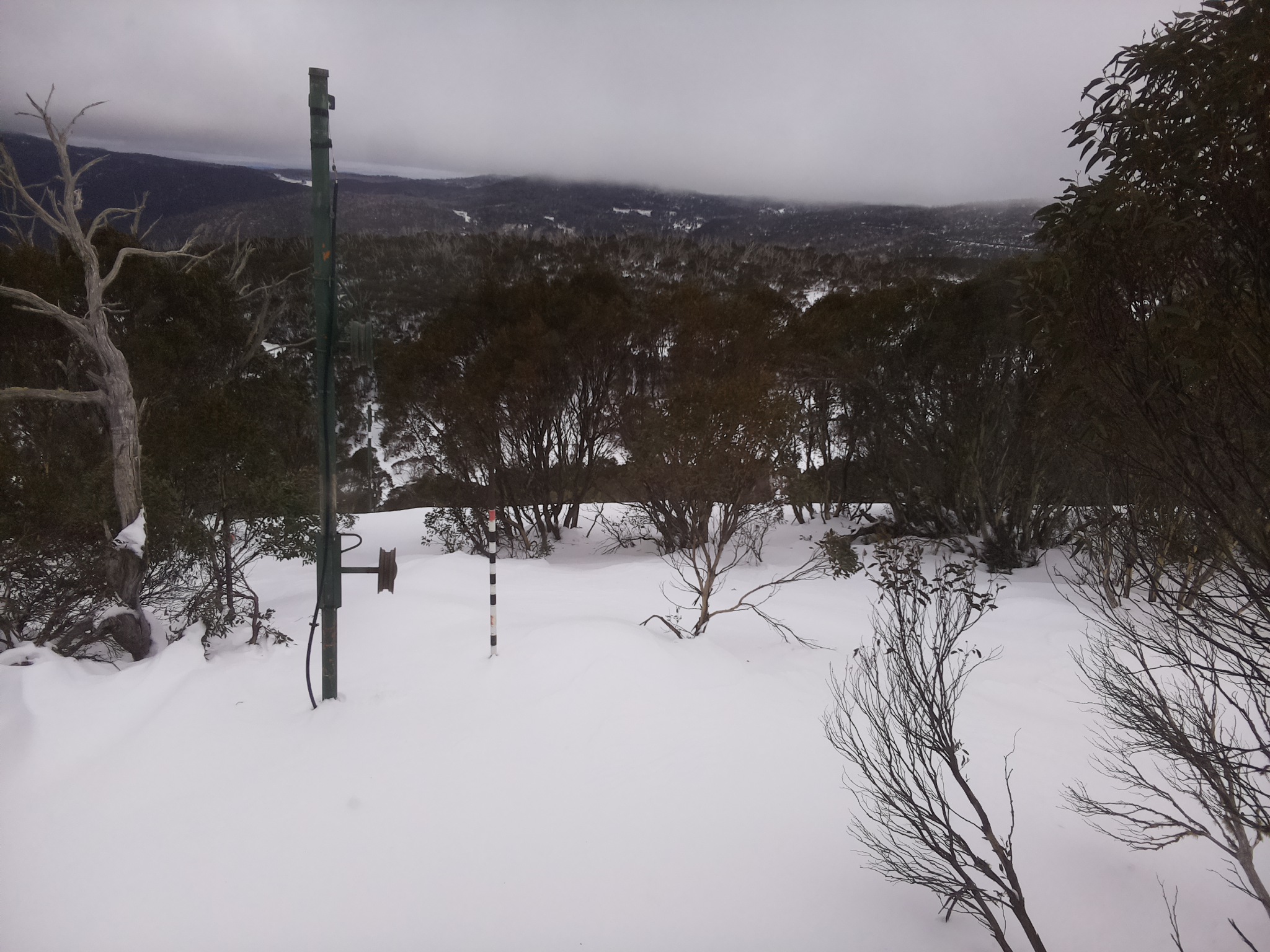 Bogong Web Cam 1:40pm Tuesday 1st of July 2025