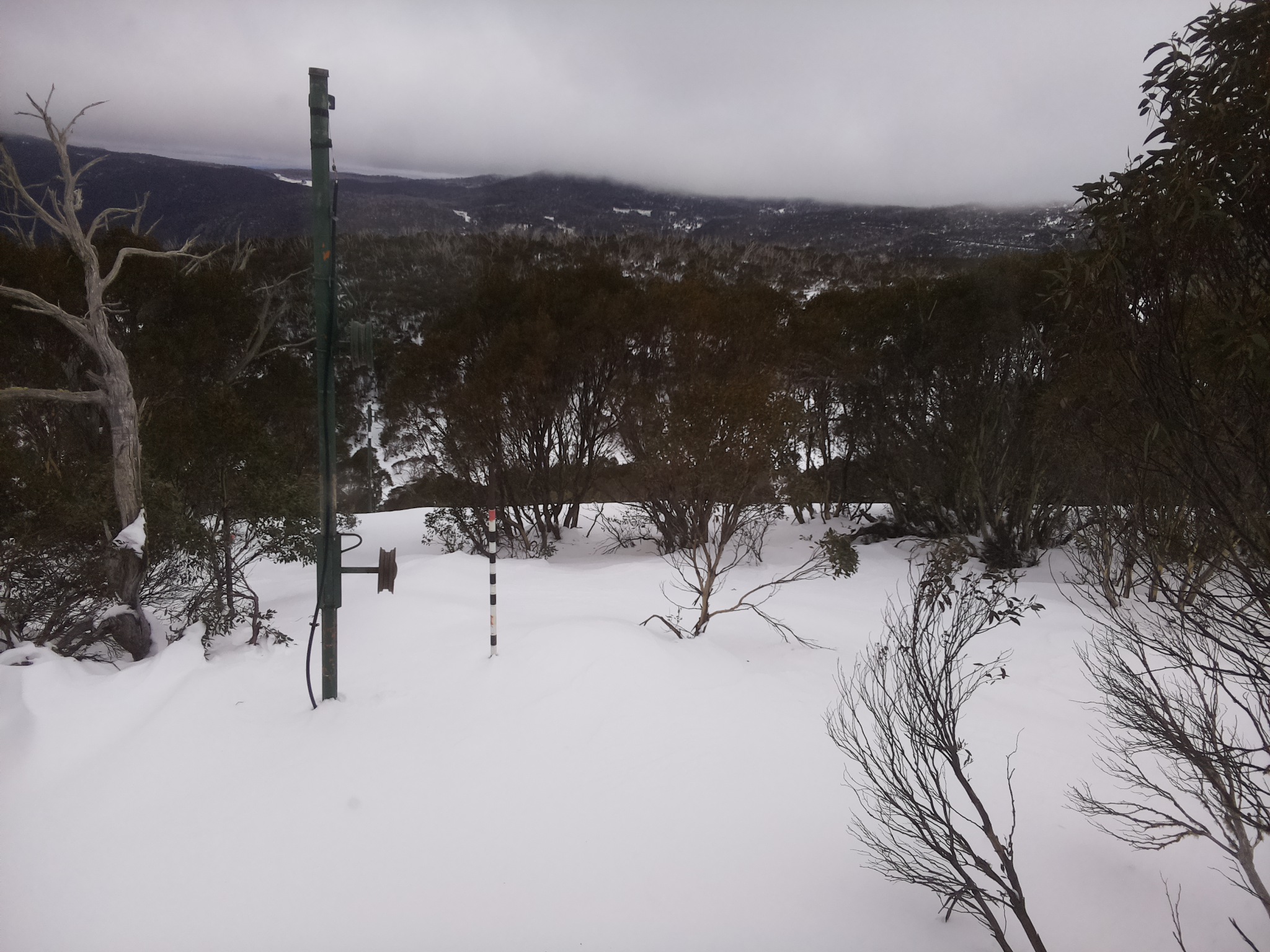 Bogong Web Cam 1:50pm Tuesday 1st of July 2025