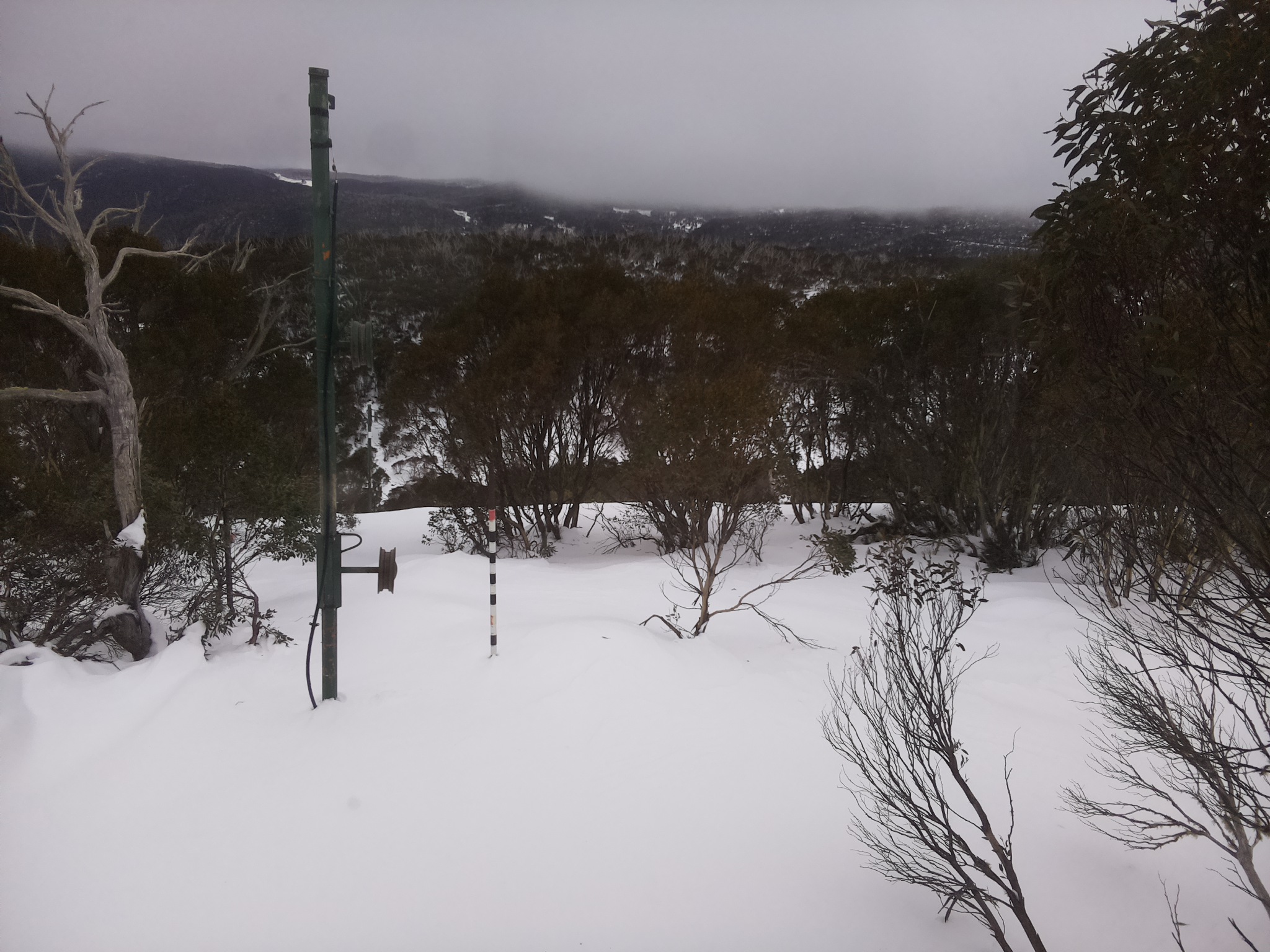 Bogong Web Cam 2:00pm Tuesday 1st of July 2025