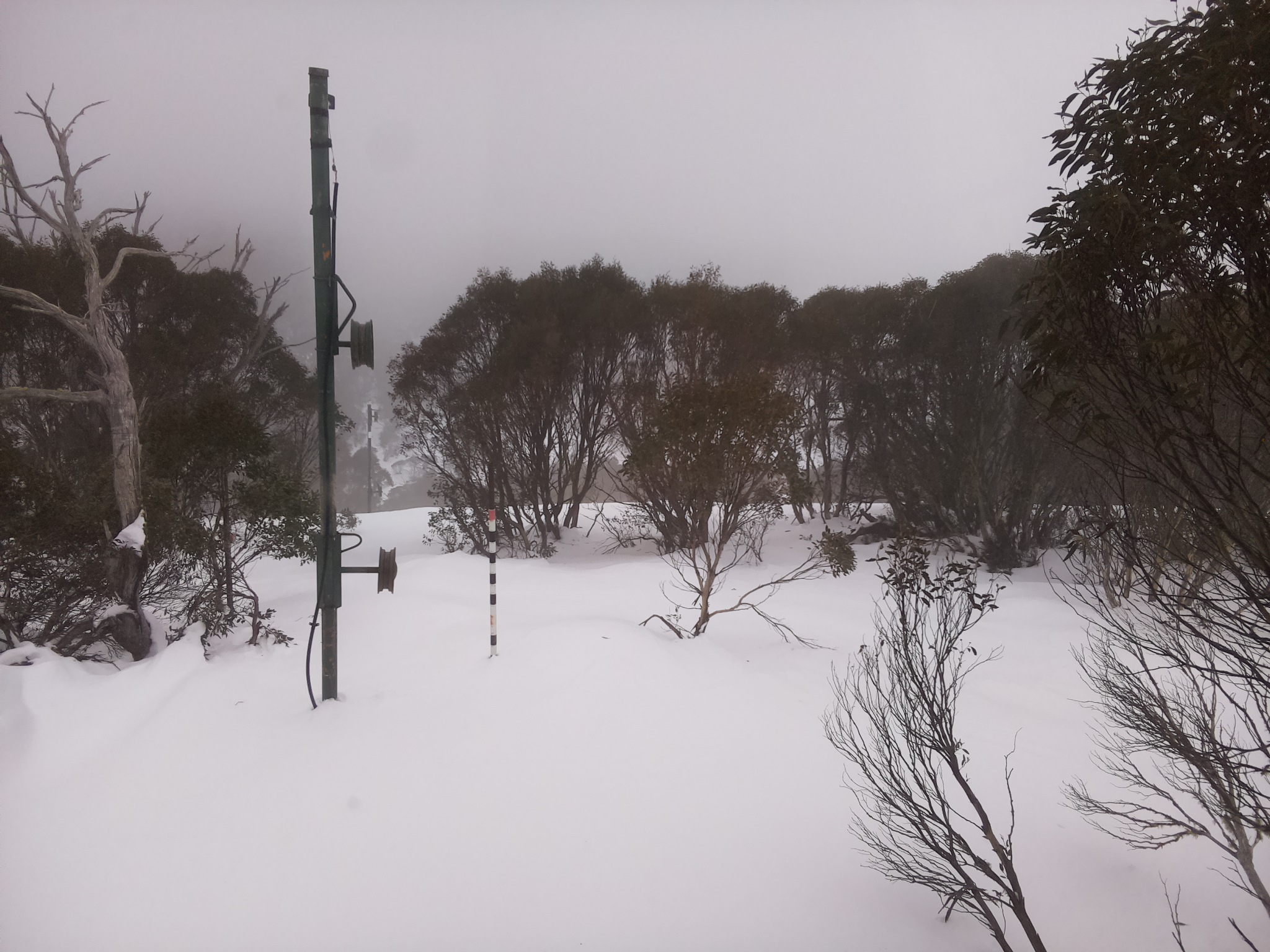 Bogong Web Cam 2:20pm Tuesday 1st of July 2025
