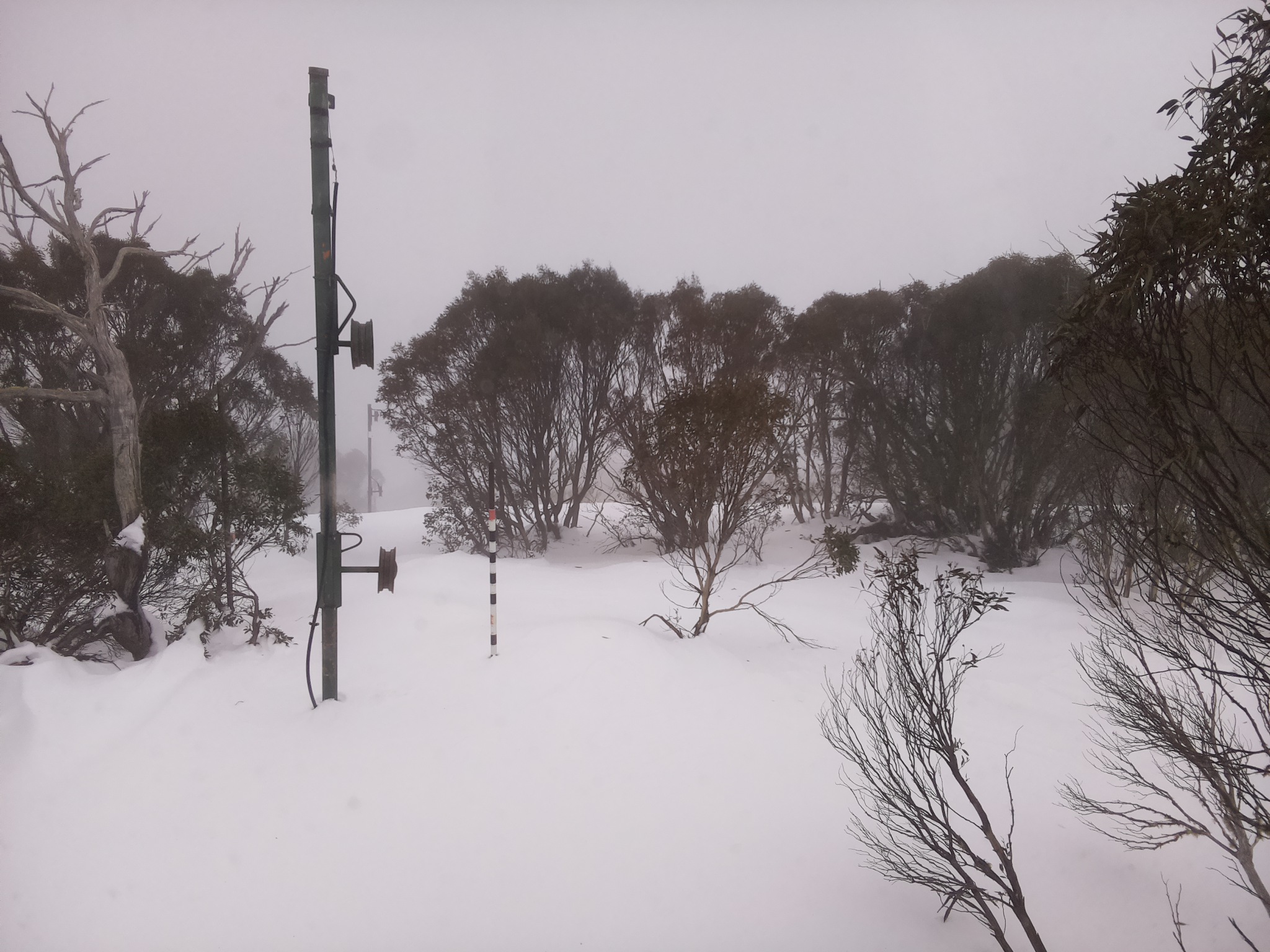 Bogong Web Cam 2:40pm Tuesday 1st of July 2025