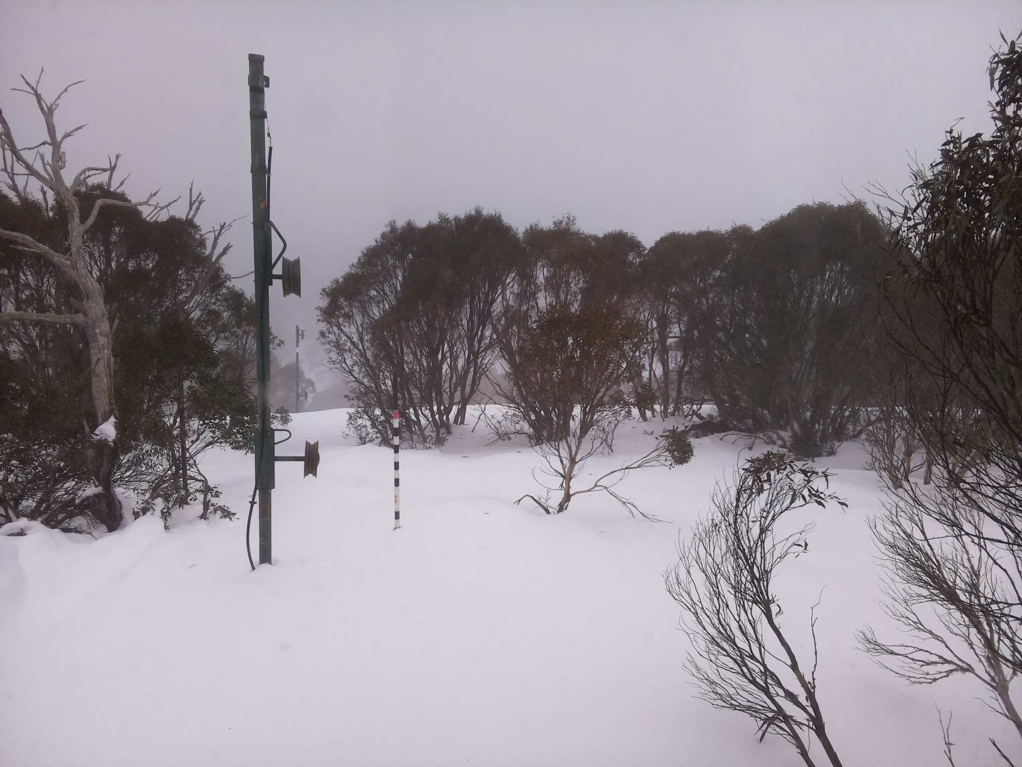 Bogong Web Cam 3:00pm Tuesday 1st of July 2025