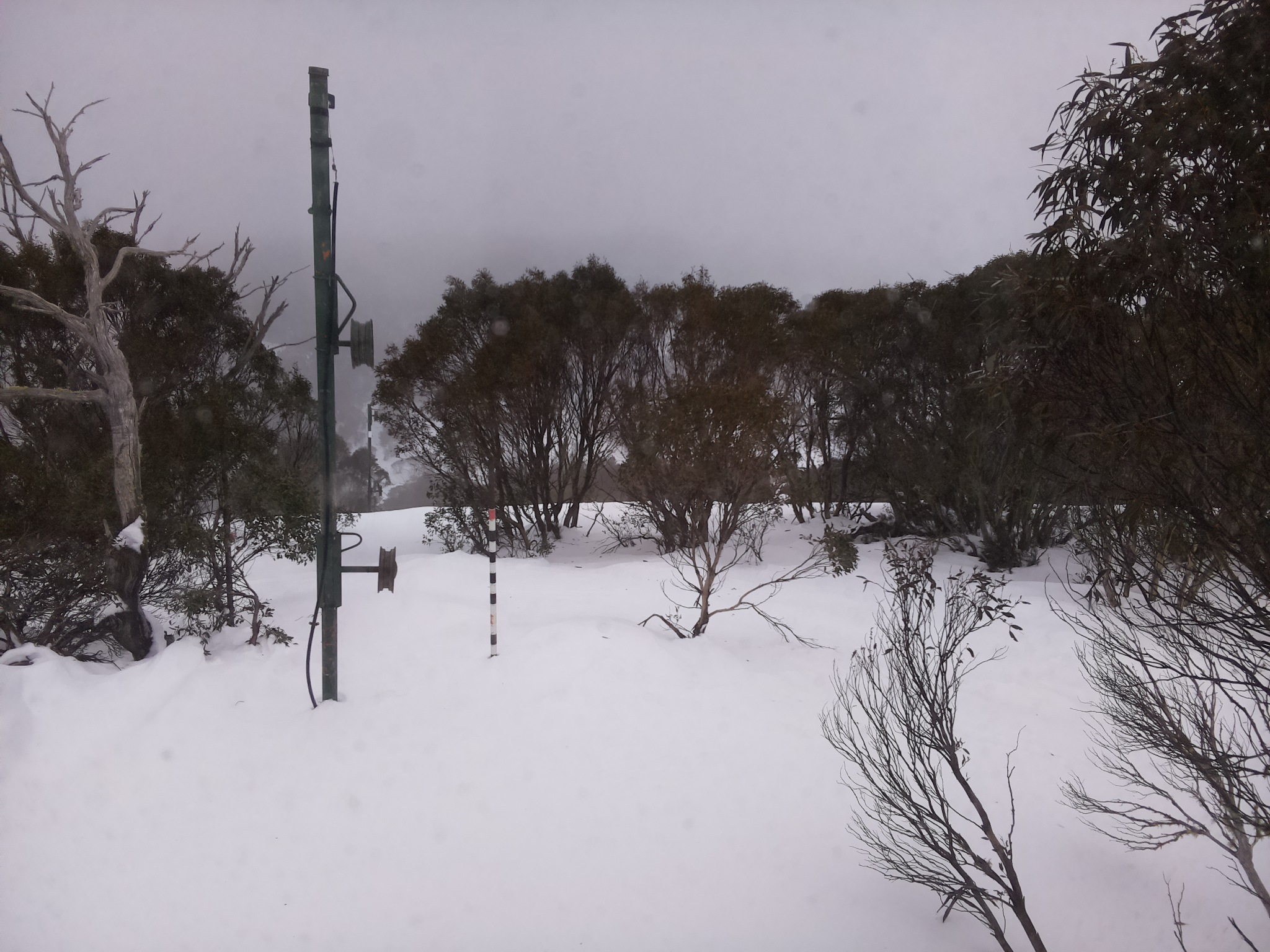 Bogong Web Cam 3:20pm Tuesday 1st of July 2025