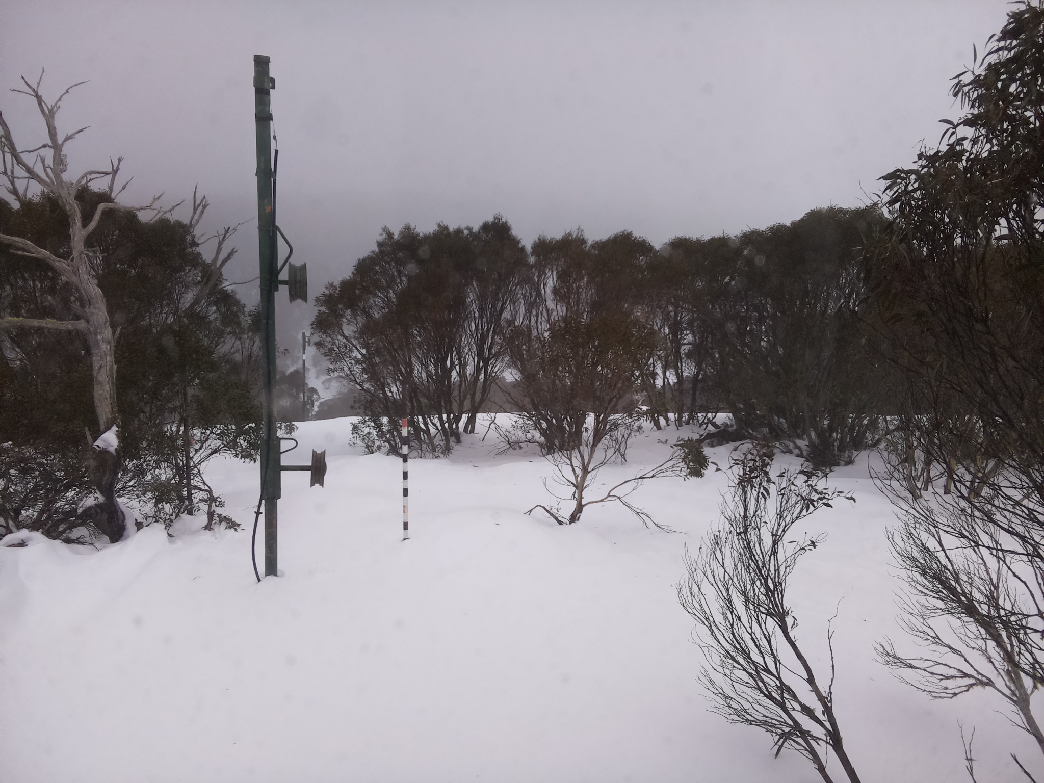 Bogong Web Cam 3:30pm Tuesday 1st of July 2025