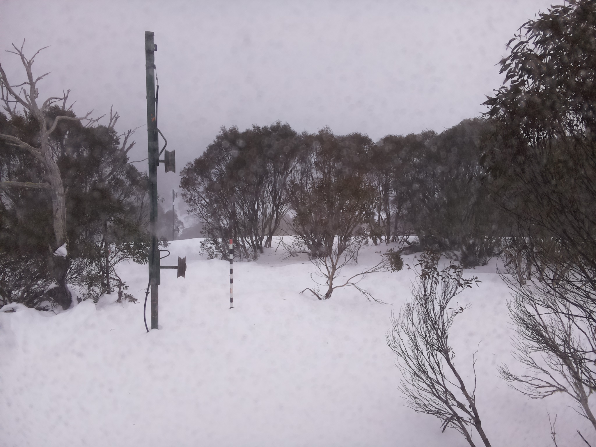 Bogong Web Cam 3:50pm Tuesday 1st of July 2025