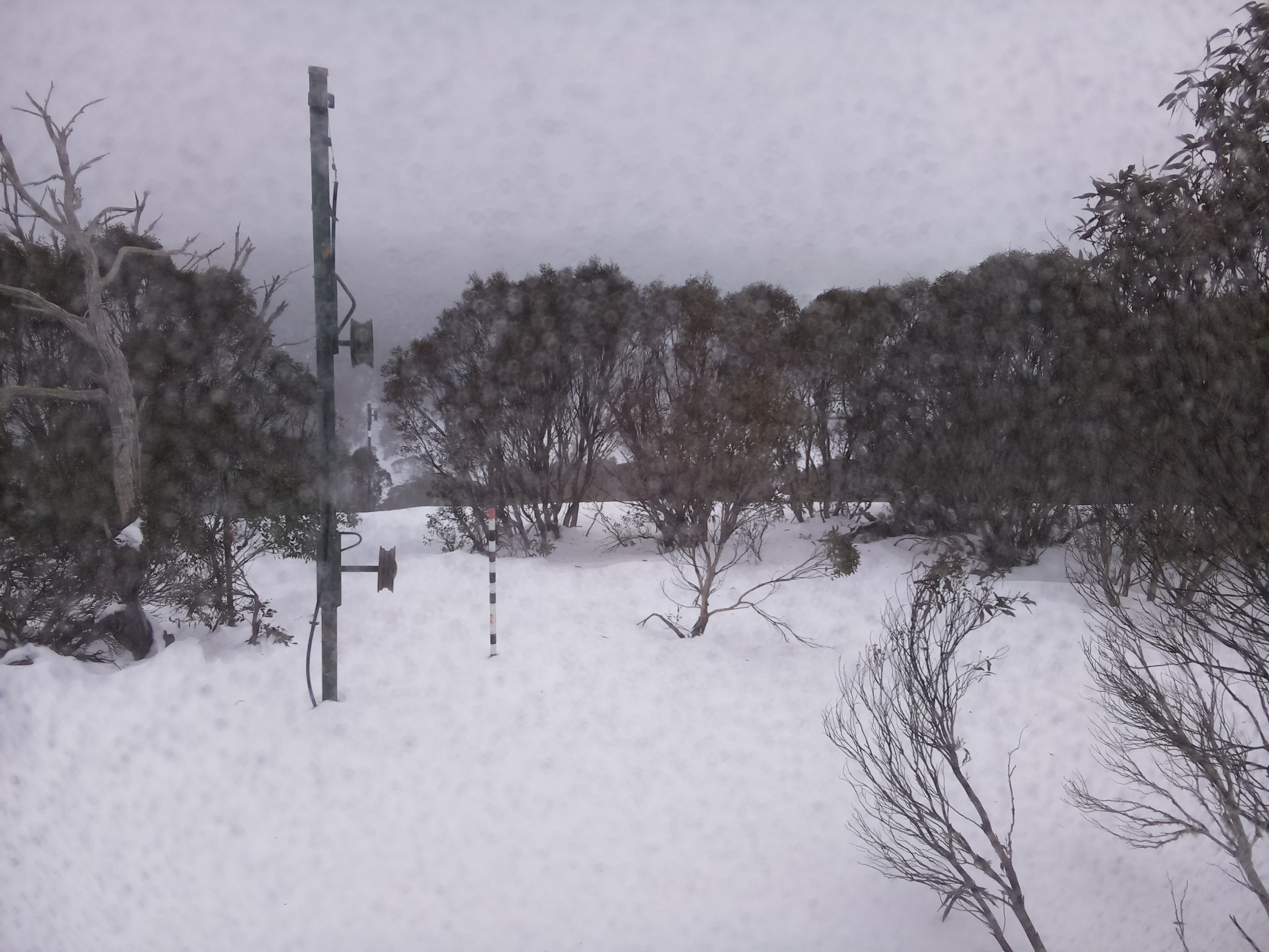 Bogong Web Cam 4:00pm Tuesday 1st of July 2025