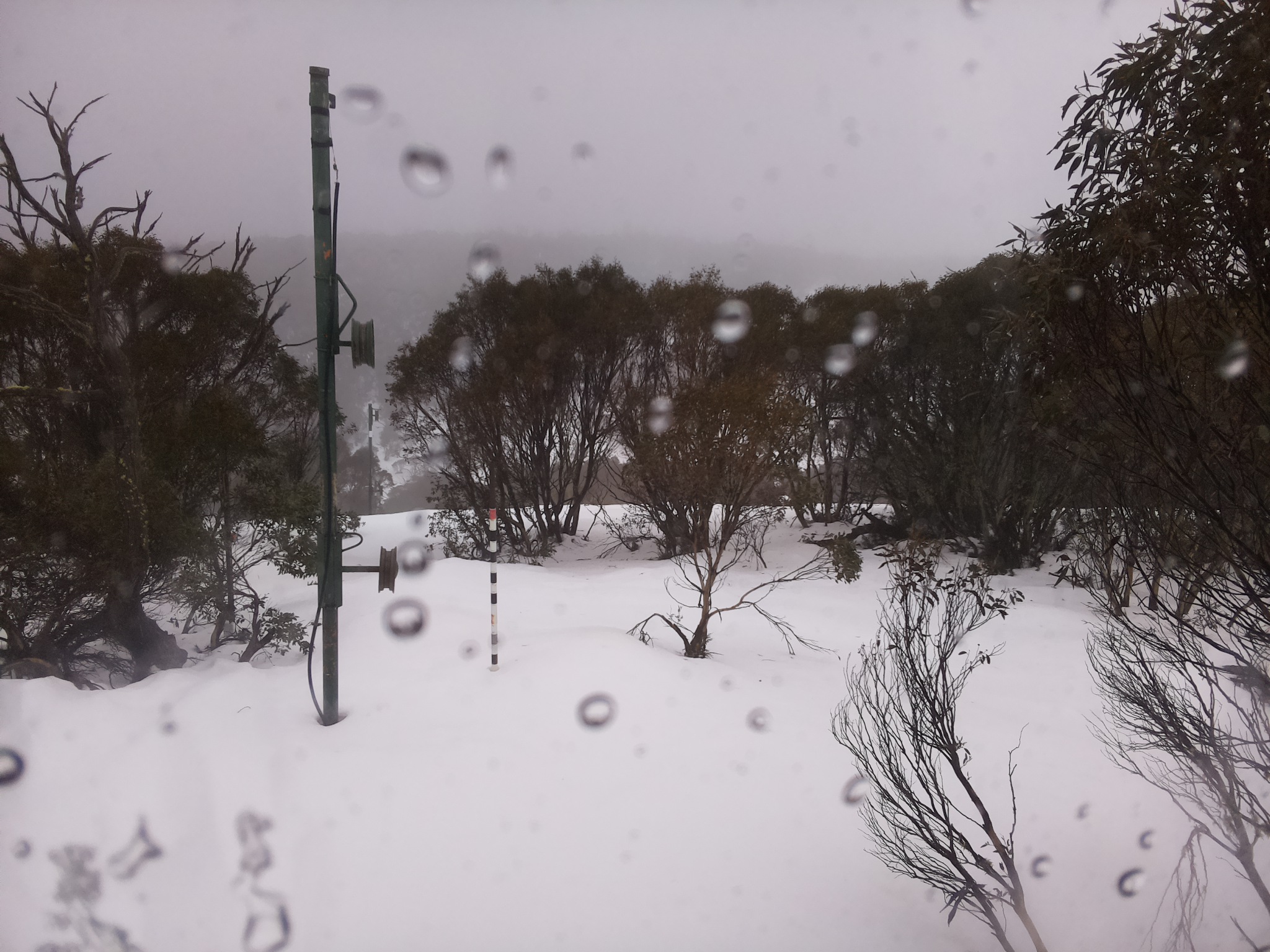 Bogong Web Cam 10:50am Thursday 3rd of July 2025