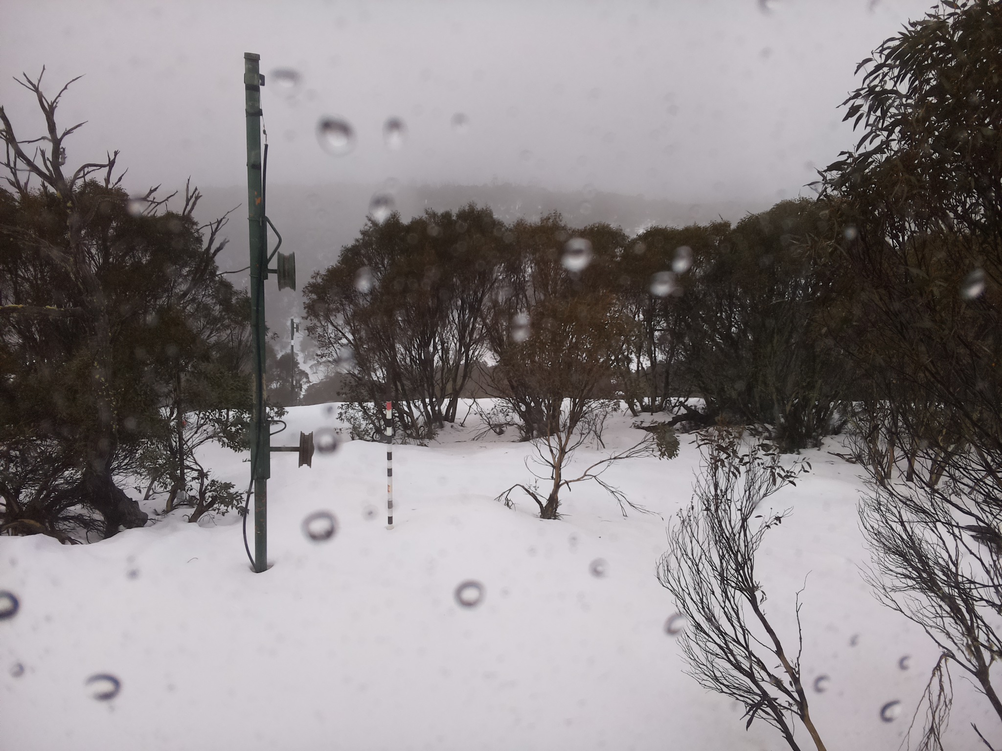 Bogong Web Cam 11:00am Thursday 3rd of July 2025