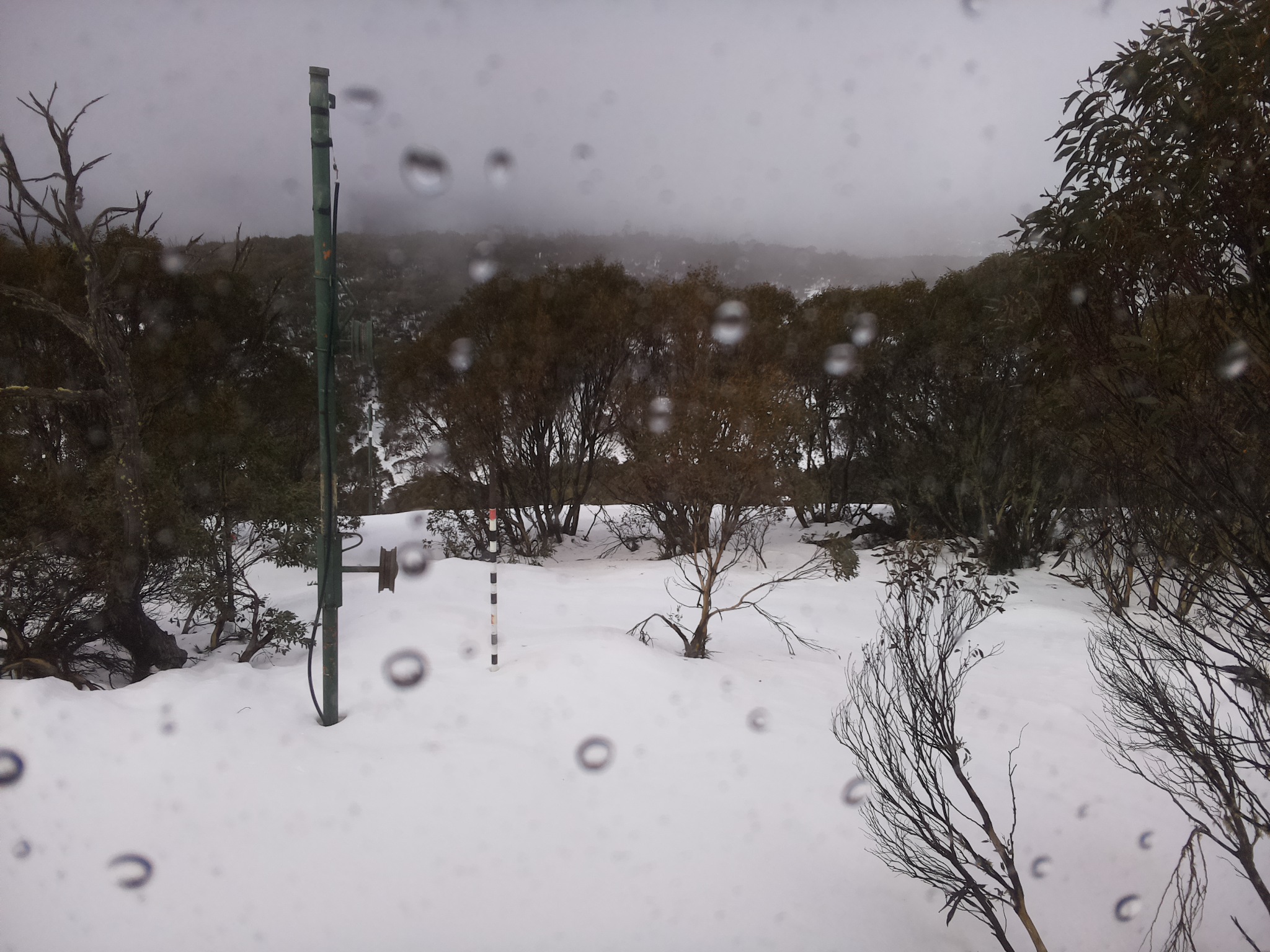 Bogong Web Cam 11:10am Thursday 3rd of July 2025