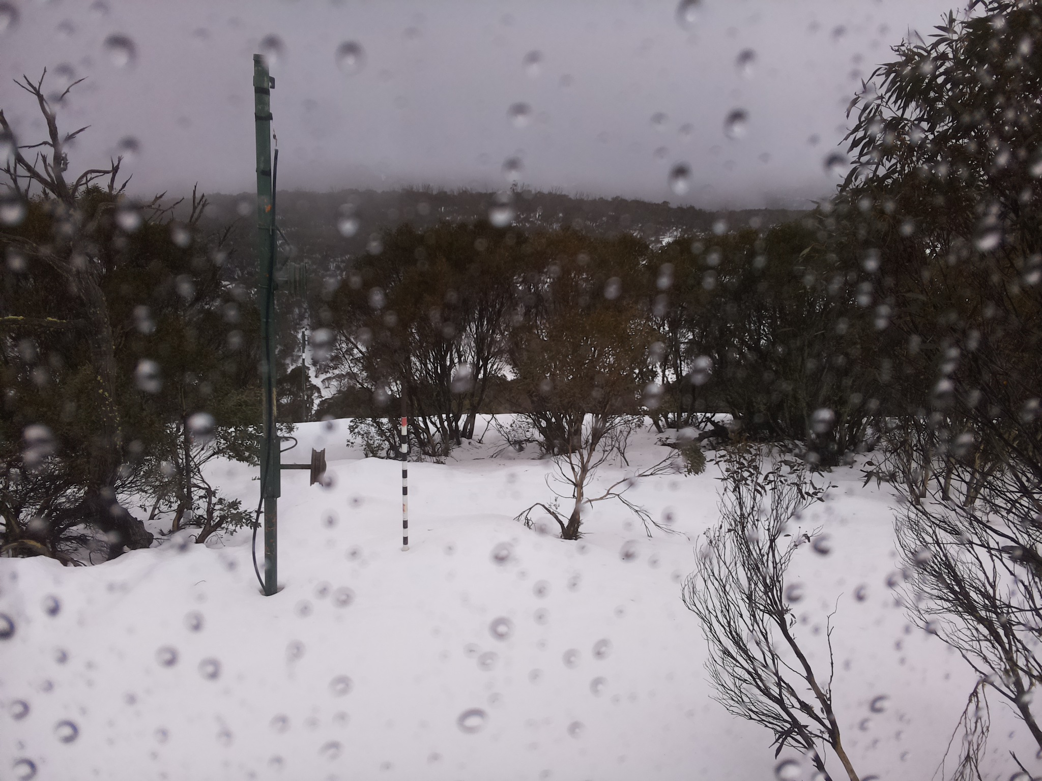 Bogong Web Cam 12:40pm Thursday 3rd of July 2025